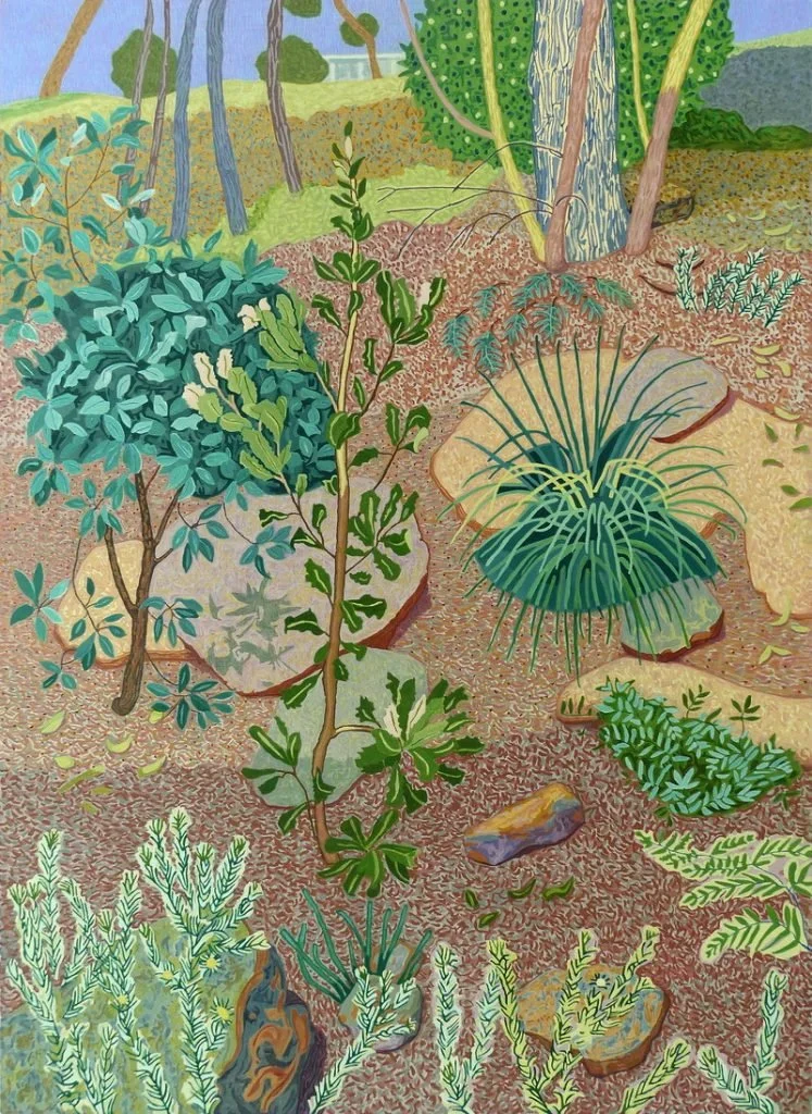 Jacqueline Balassa | Winter Shadow