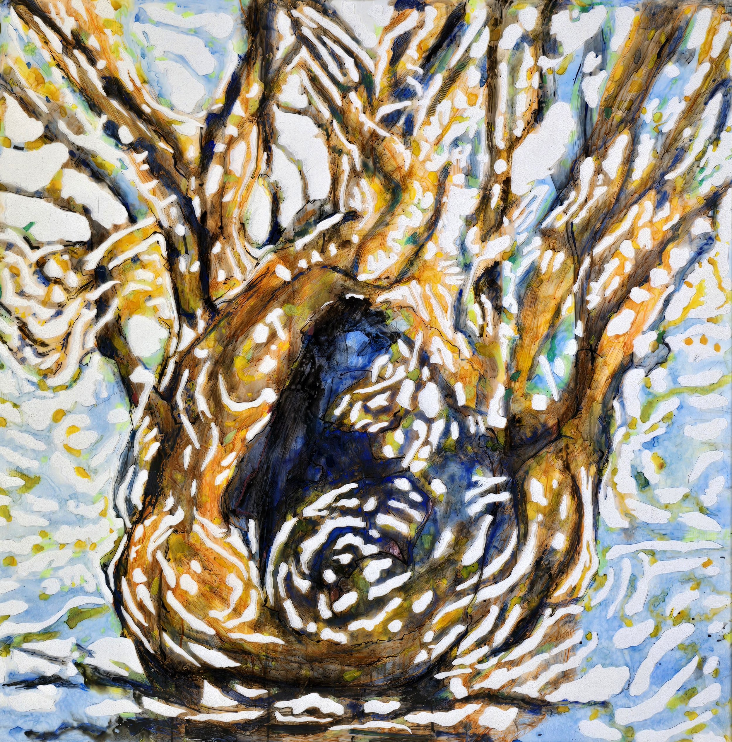 ANDREW TOMKINS | The Gateway (Bottletree)