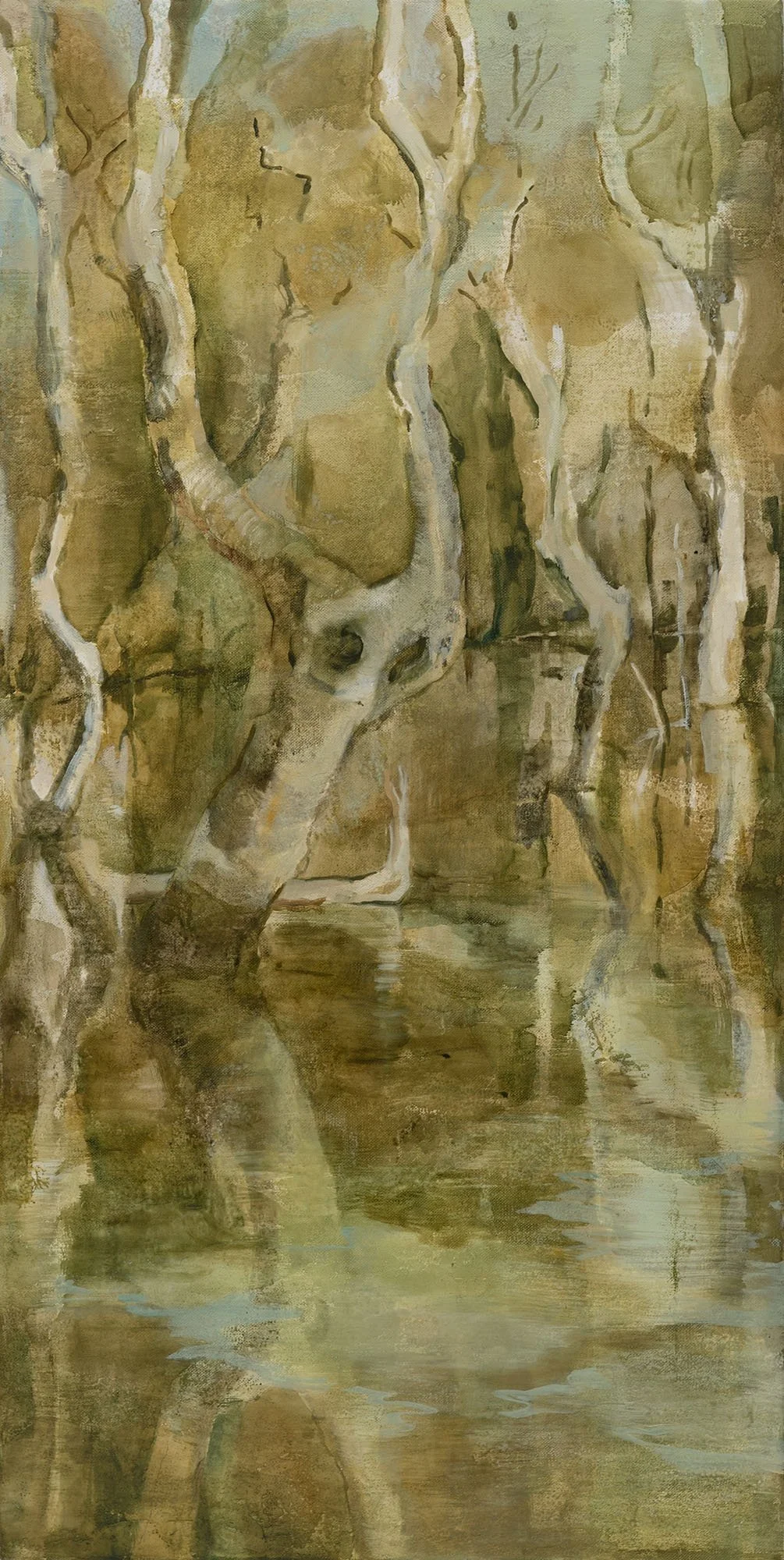 MICHELLE BELGIORNO | Mangrove Magic