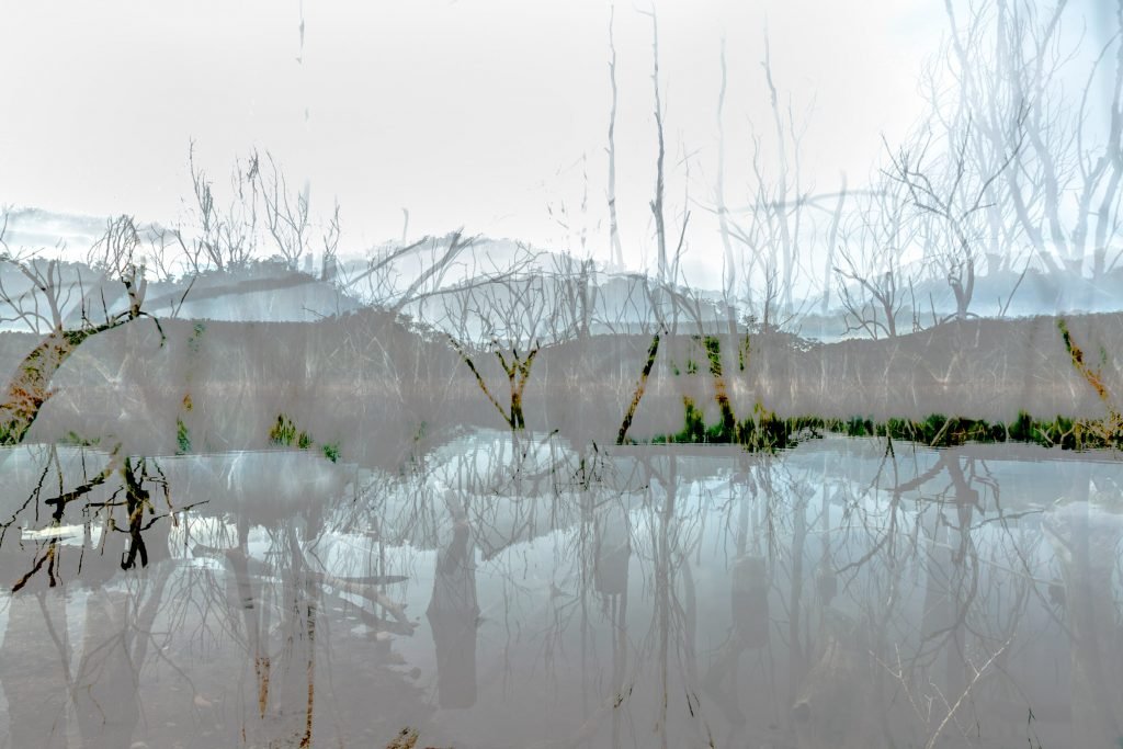 Asher Milgate | Damned – Untitled 4