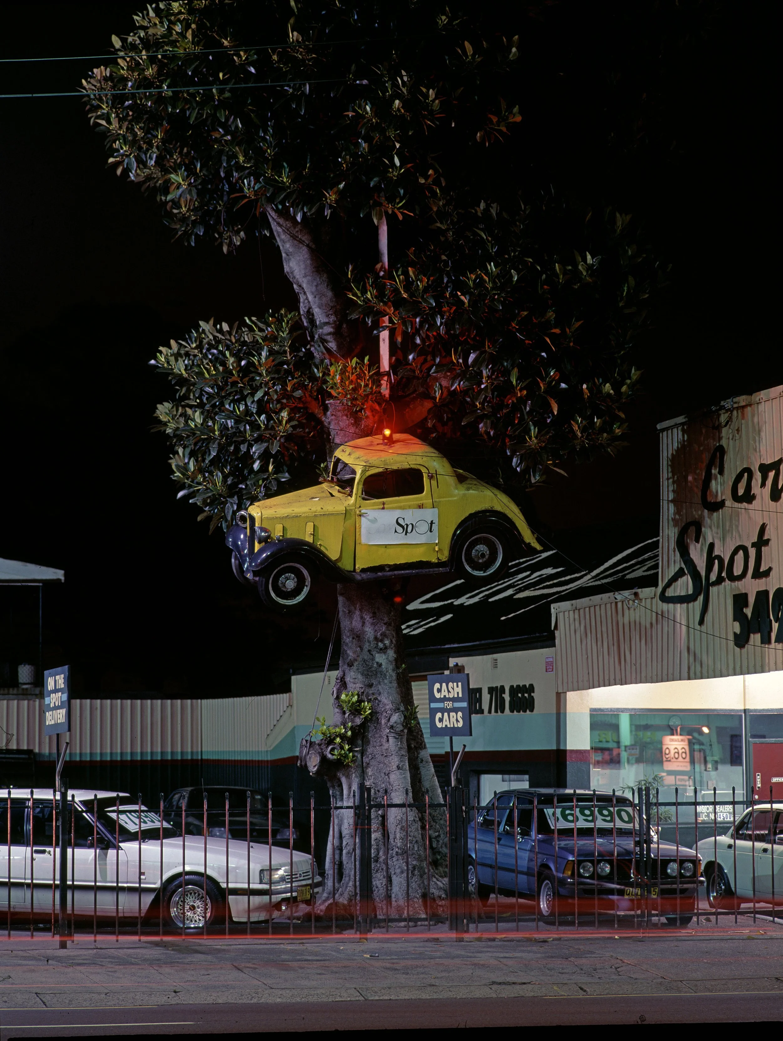 Peter Solness | Car in Tree  Parramatta Road NSW – 1996