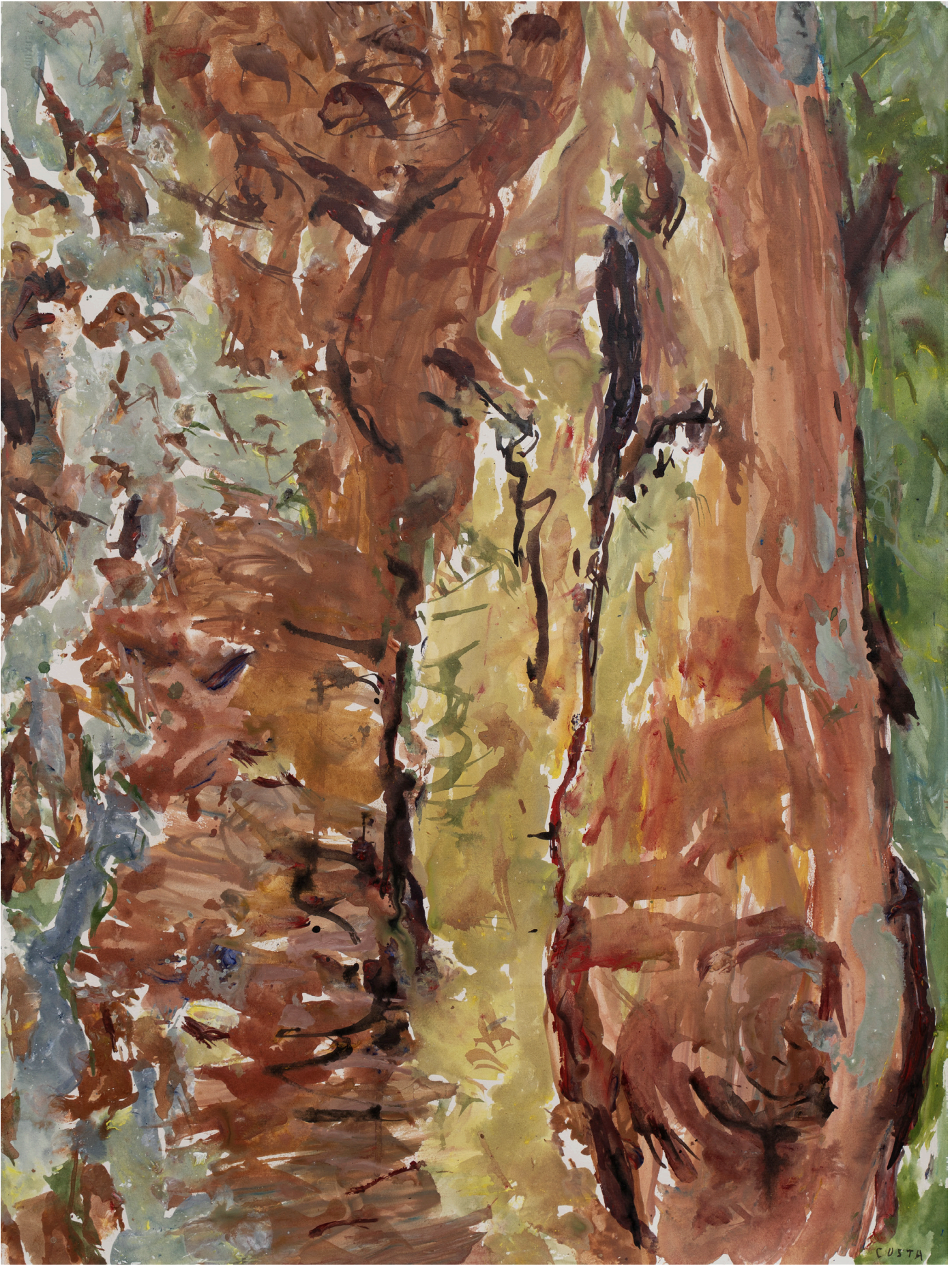 Tony Costa_Angophora No 20.png