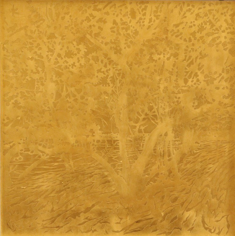 ANDREW TOMKINS | Gold Cut, Meadowbank