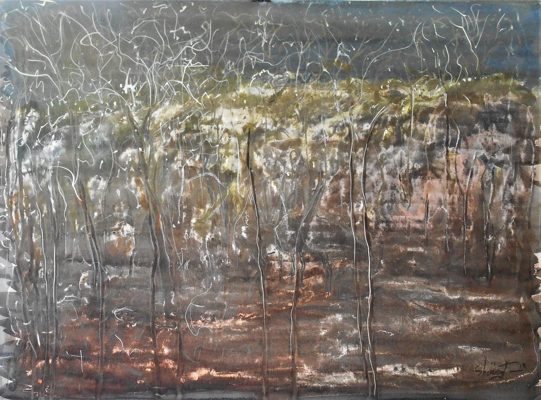 PATRICK SHIRVINGTON | Last light Gundabooka