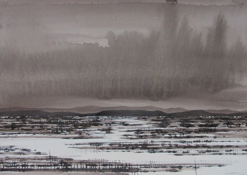 DAVID MIDDLEBROOK | Downpour, Broken Hill