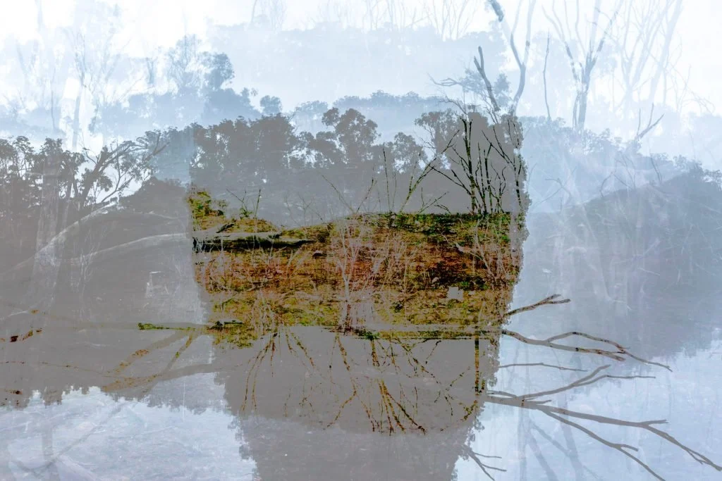 Asher Milgate | Damned – Untitled 2