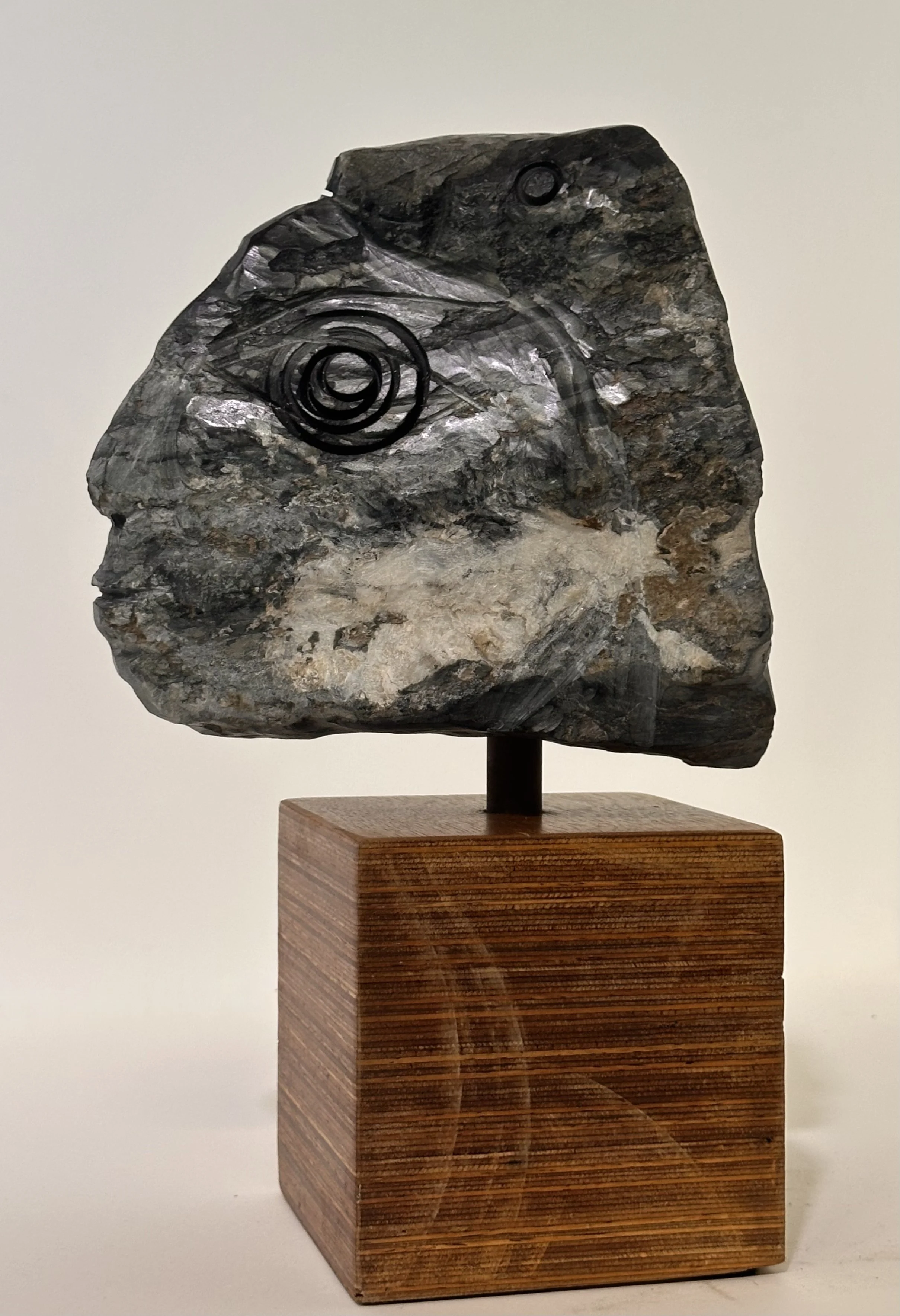 Carlos Barrios | Snake fish head