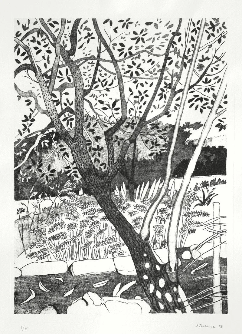 Jacqueline Balassa | Garden – Backlit Scene