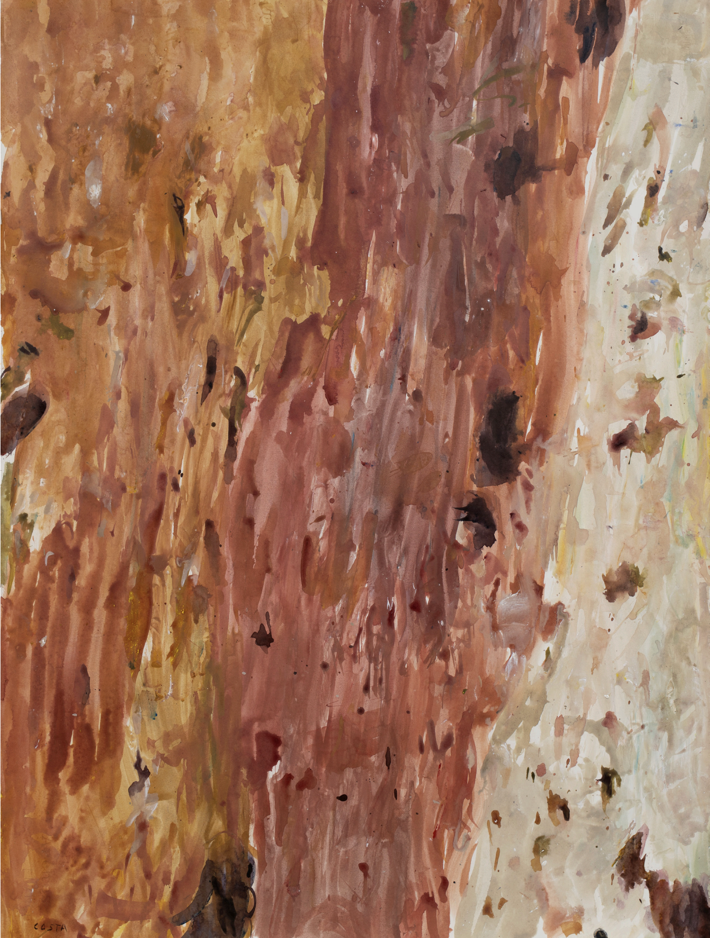 Tony Costa_Angophora No 23.png