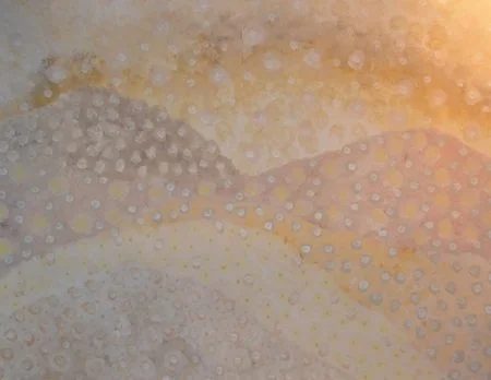 DANIELLE MATE SULLIVAN | Soft Glow