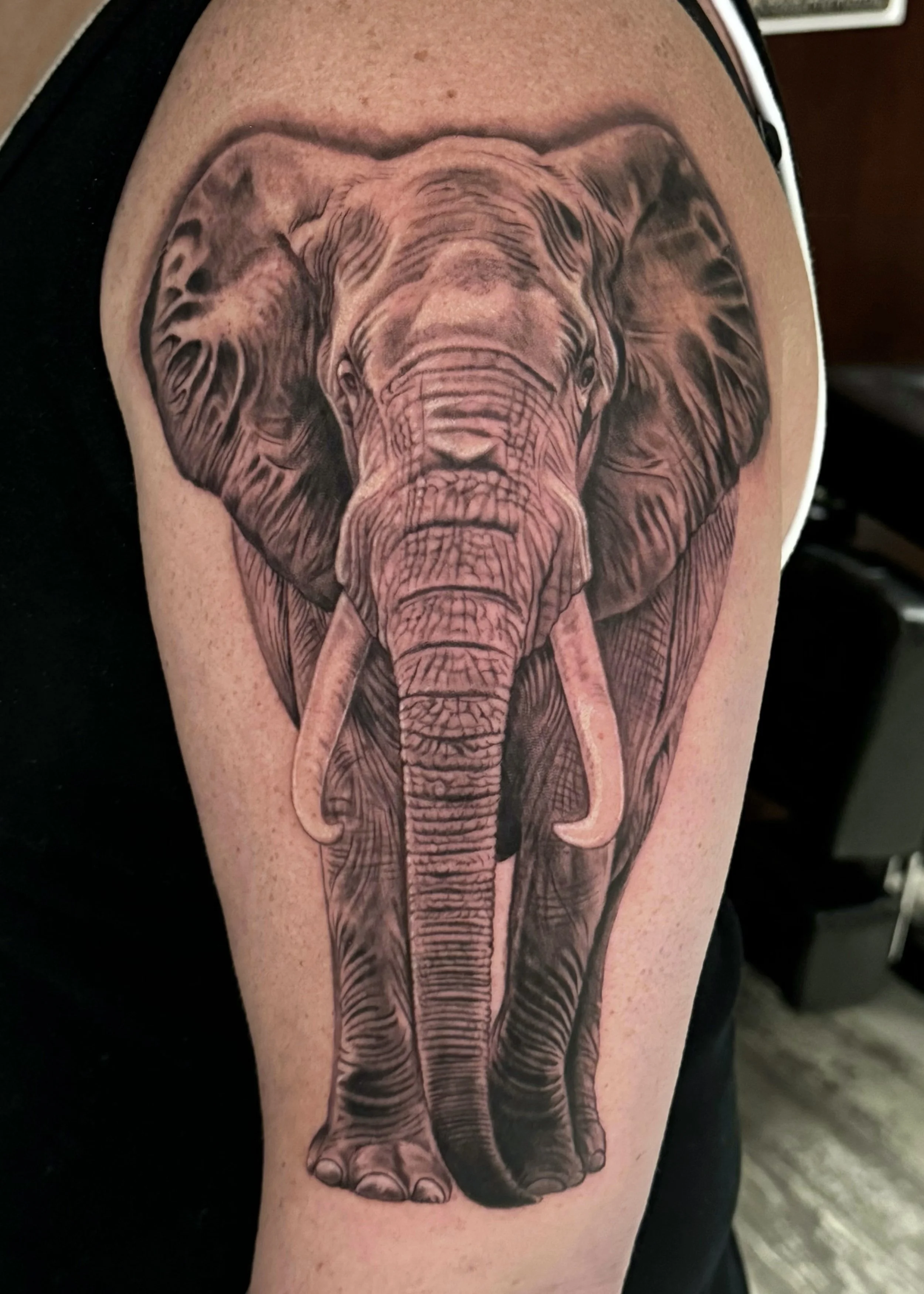 Black and gray elephant tattoo on arm, Cedar Rapids, IA