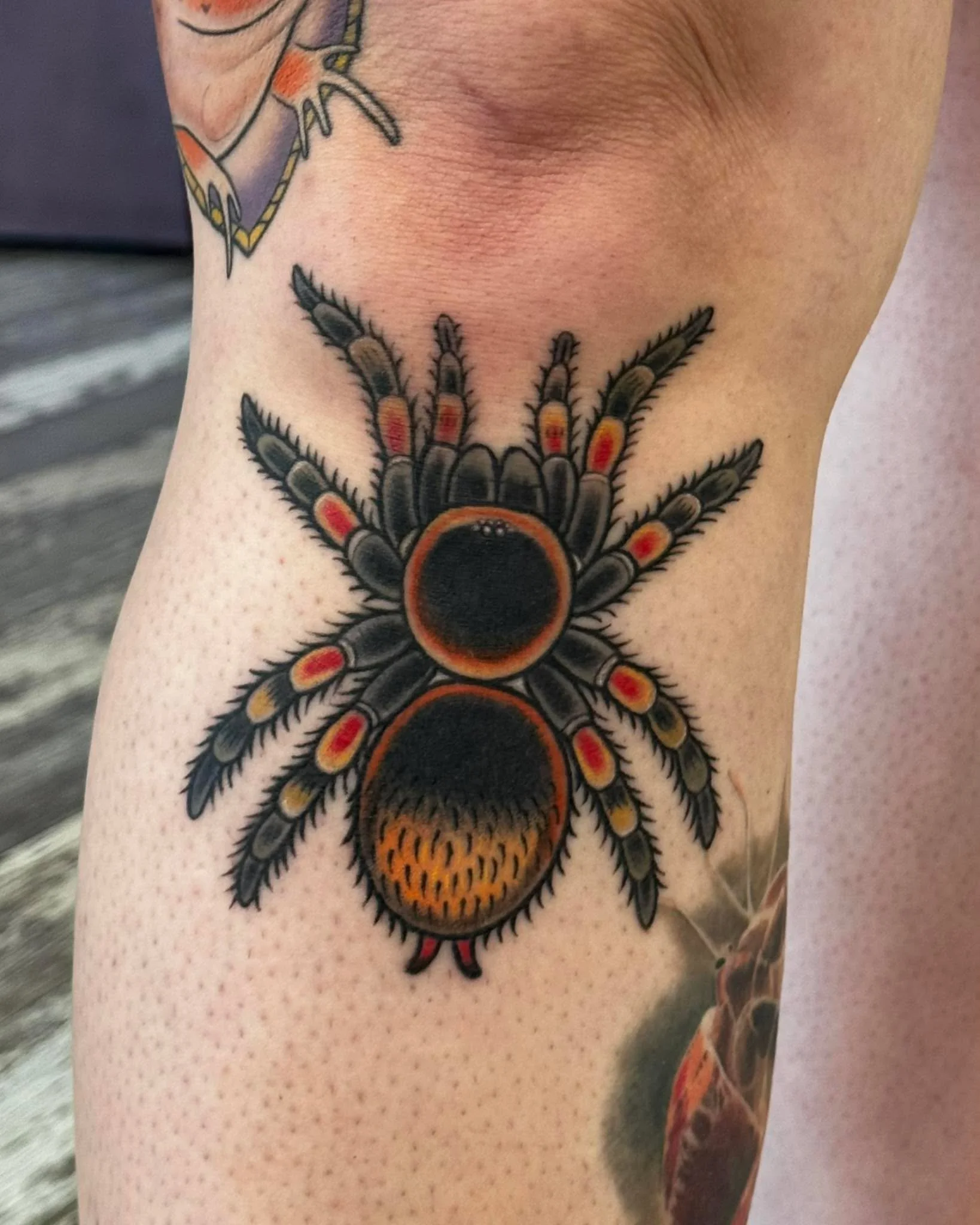 Healed red knee spooder!