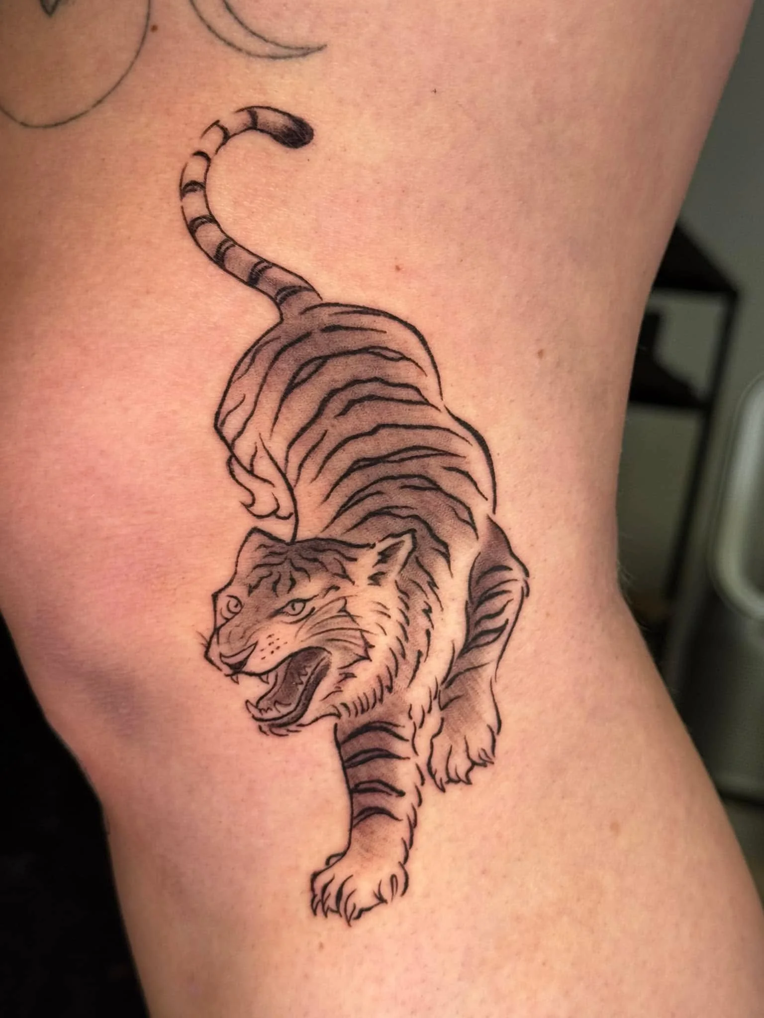 Little knee tiger I did a while ago!