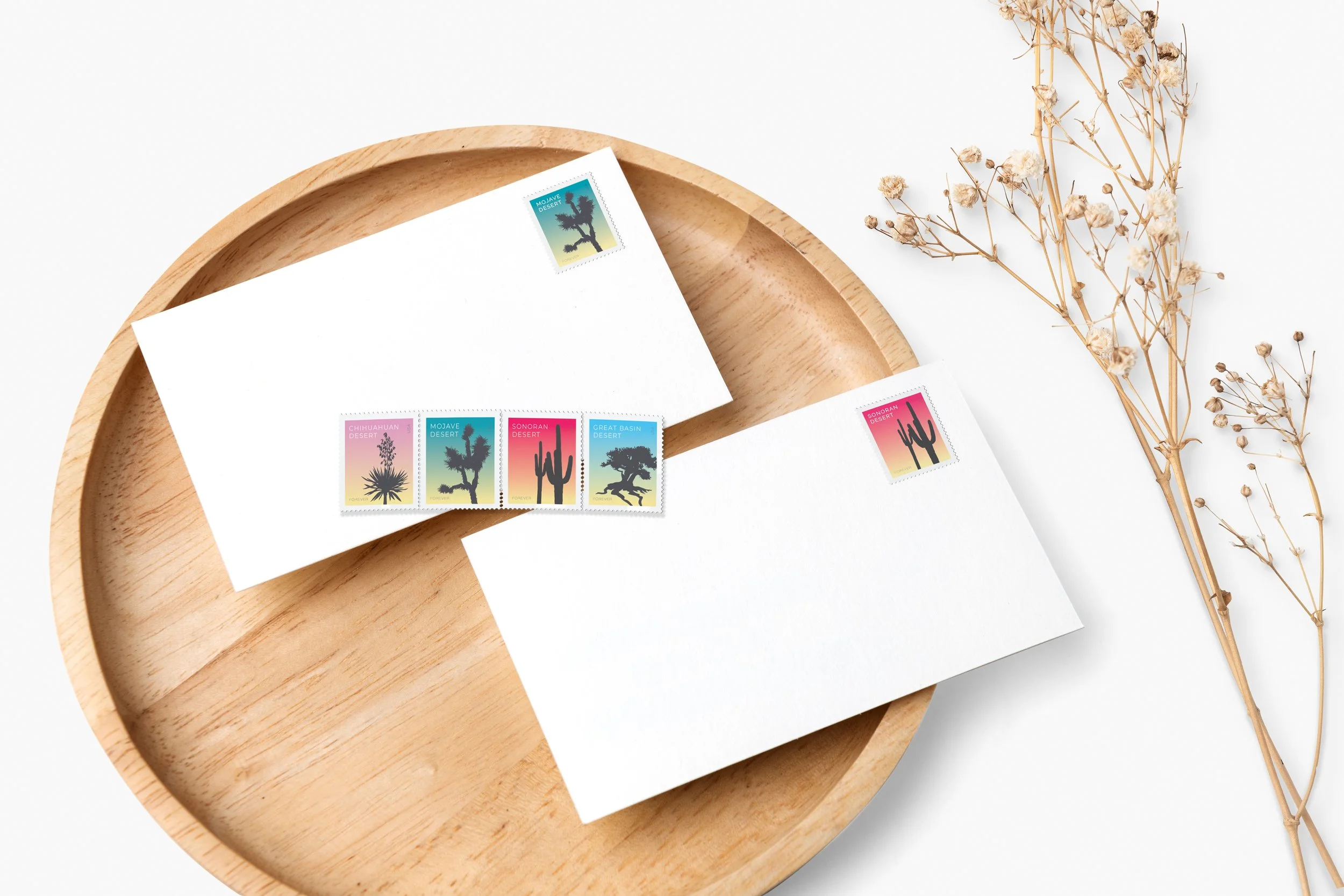 EnvelopeMockup-3.jpg