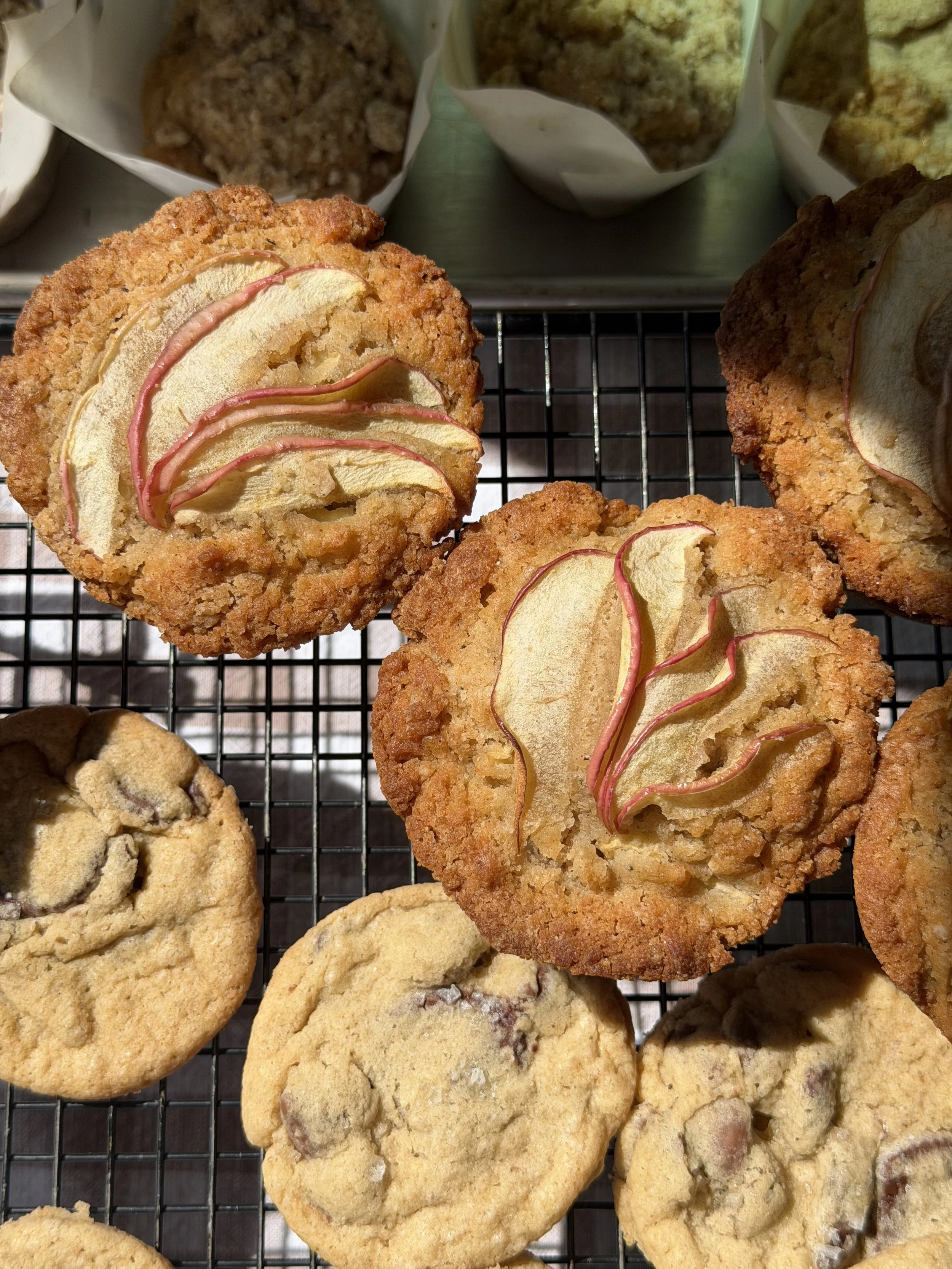 Apple Muffins