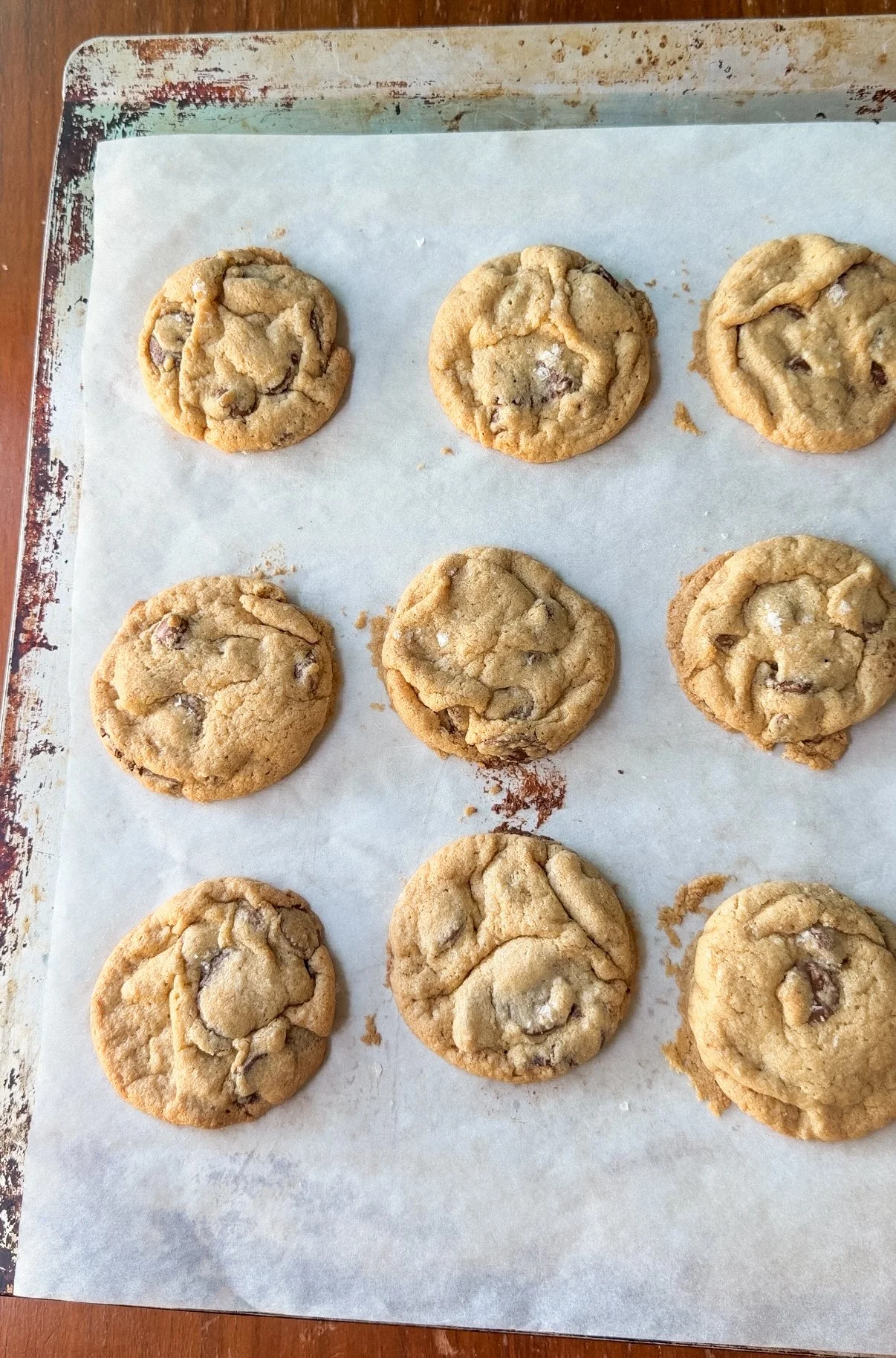 Gluten-Free Scooted Chocolate Chip Cookies