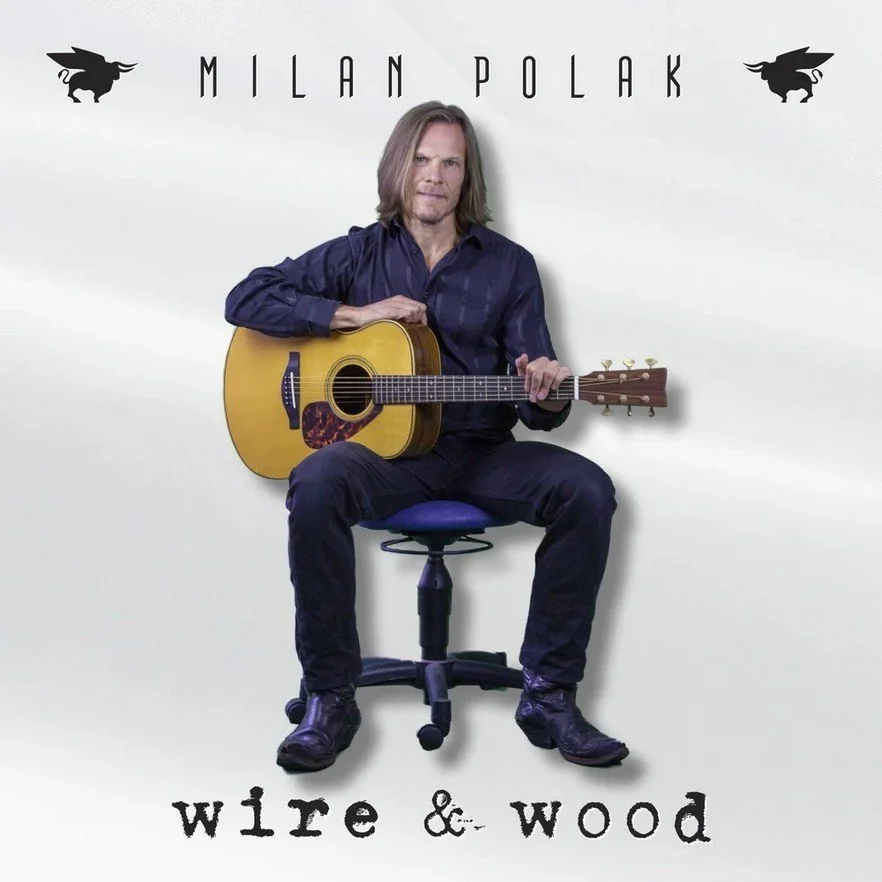 POLAK, MILAN – Wire & Wood CD