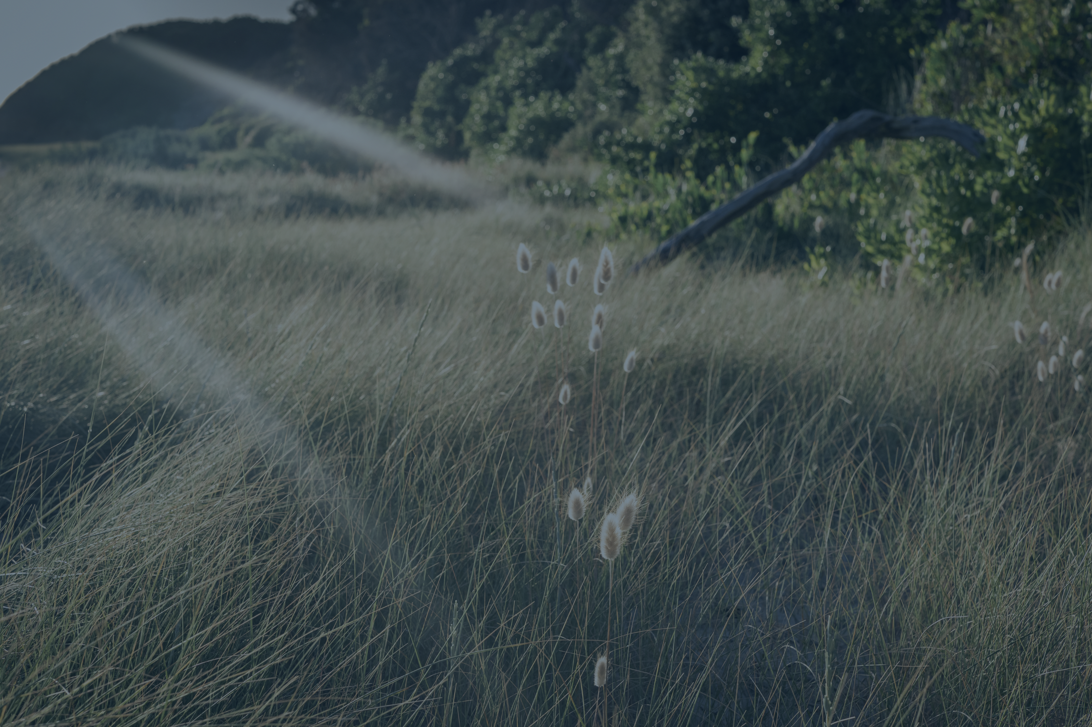 NEWS + VIEWS – 5/4/2024