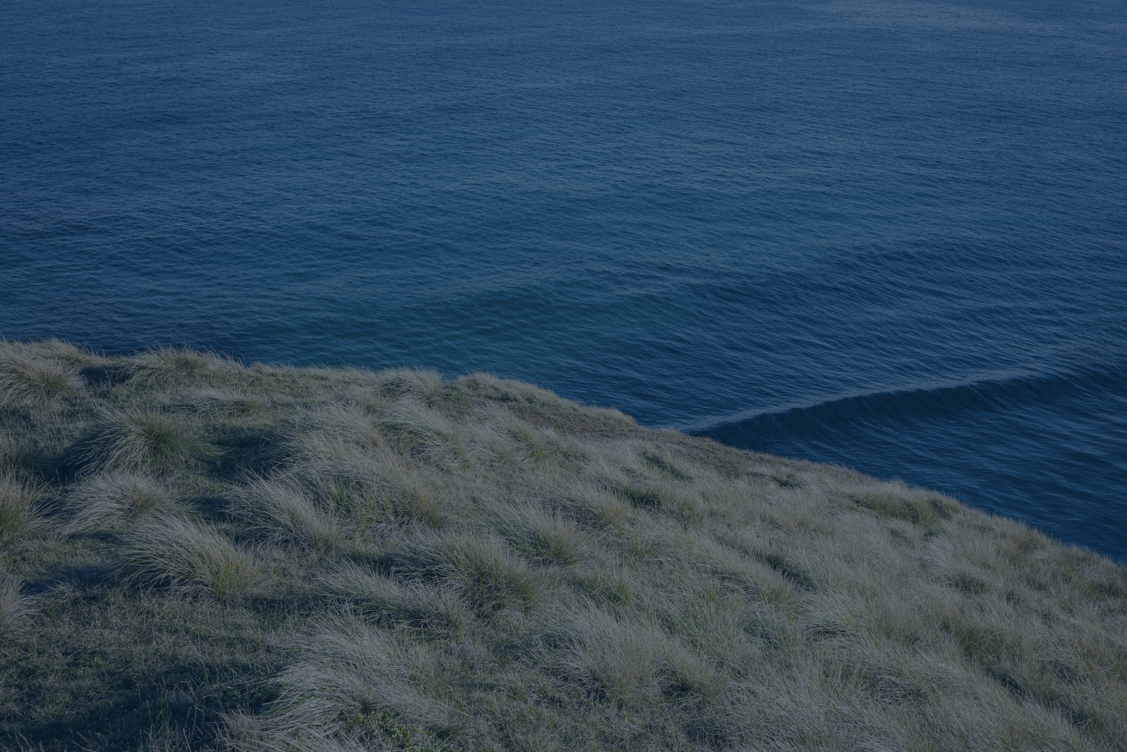 NEWS + VIEWS – 3/5/2024