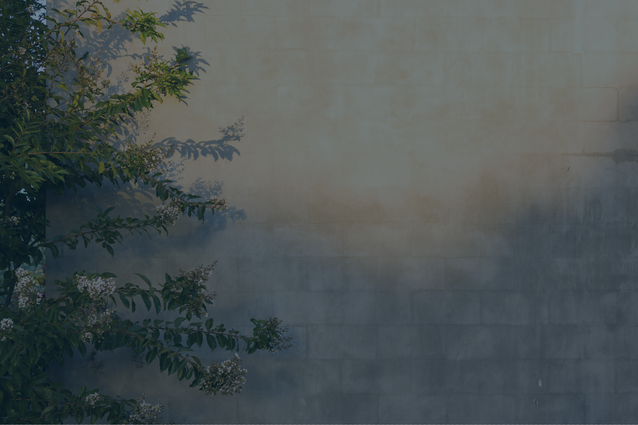 NEWS + VIEWS – 06/09/2024