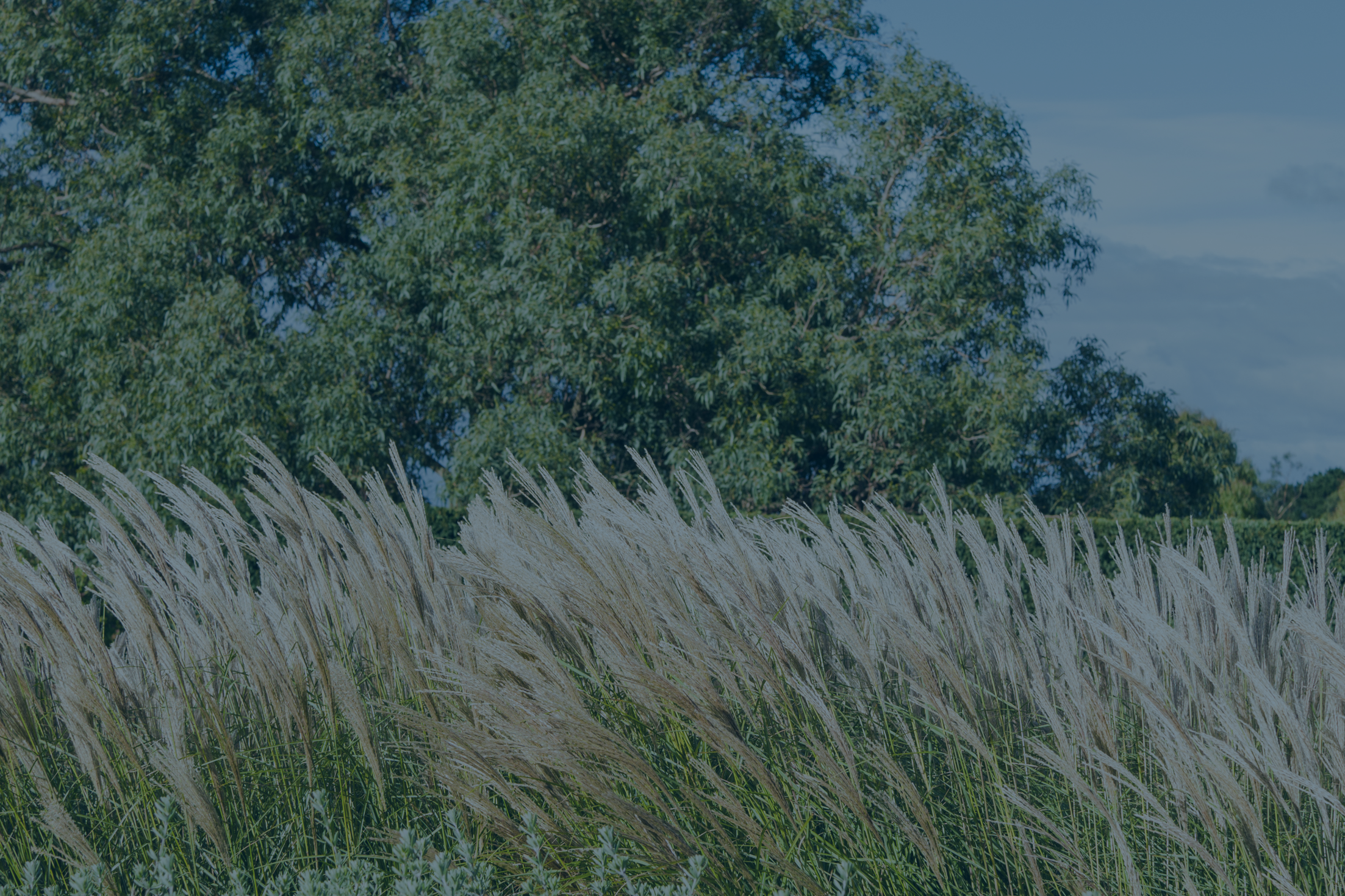 NEWS + VIEWS – 18/07/2025