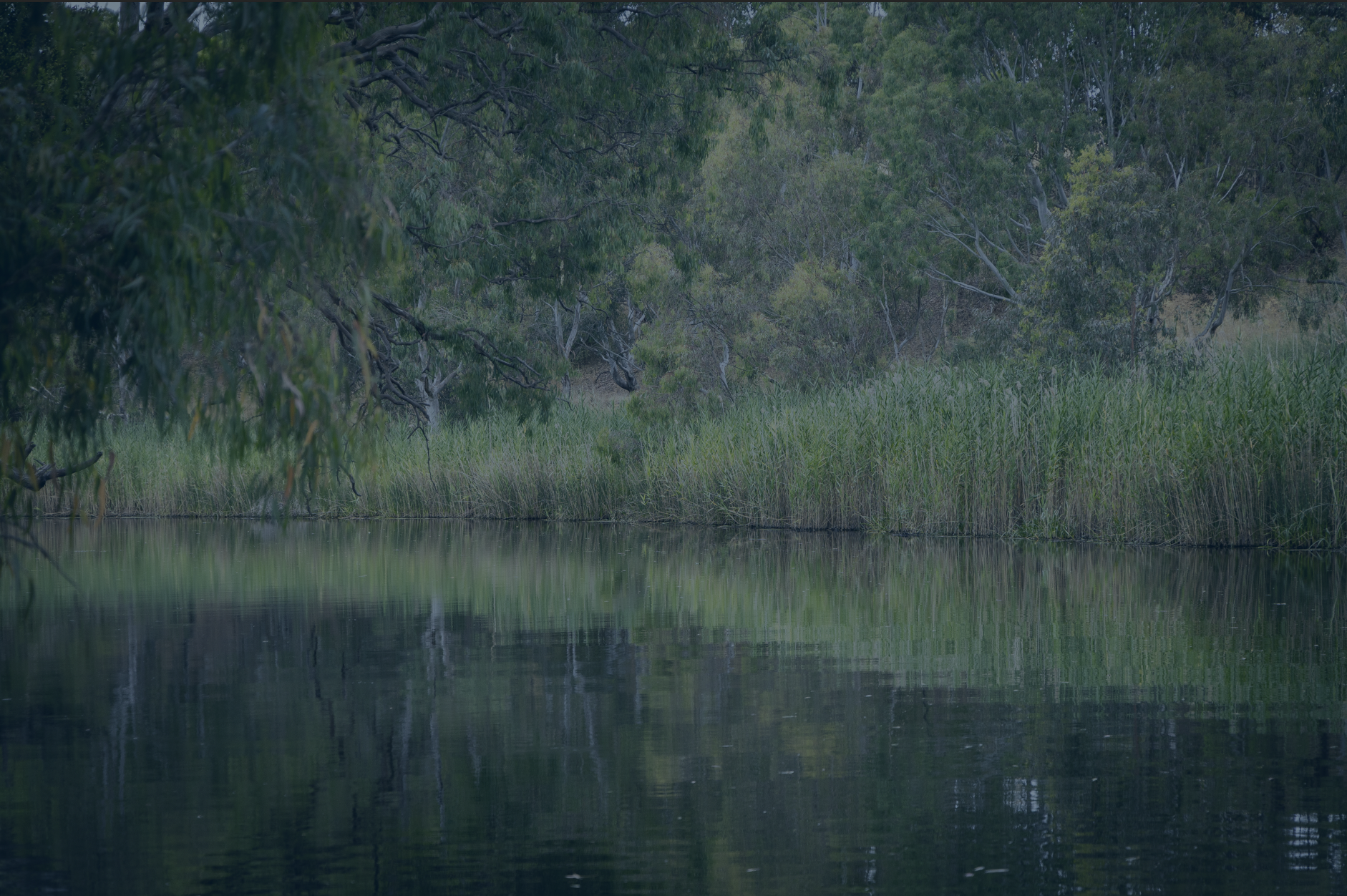 NEWS + VIEWS – 21/11/2025