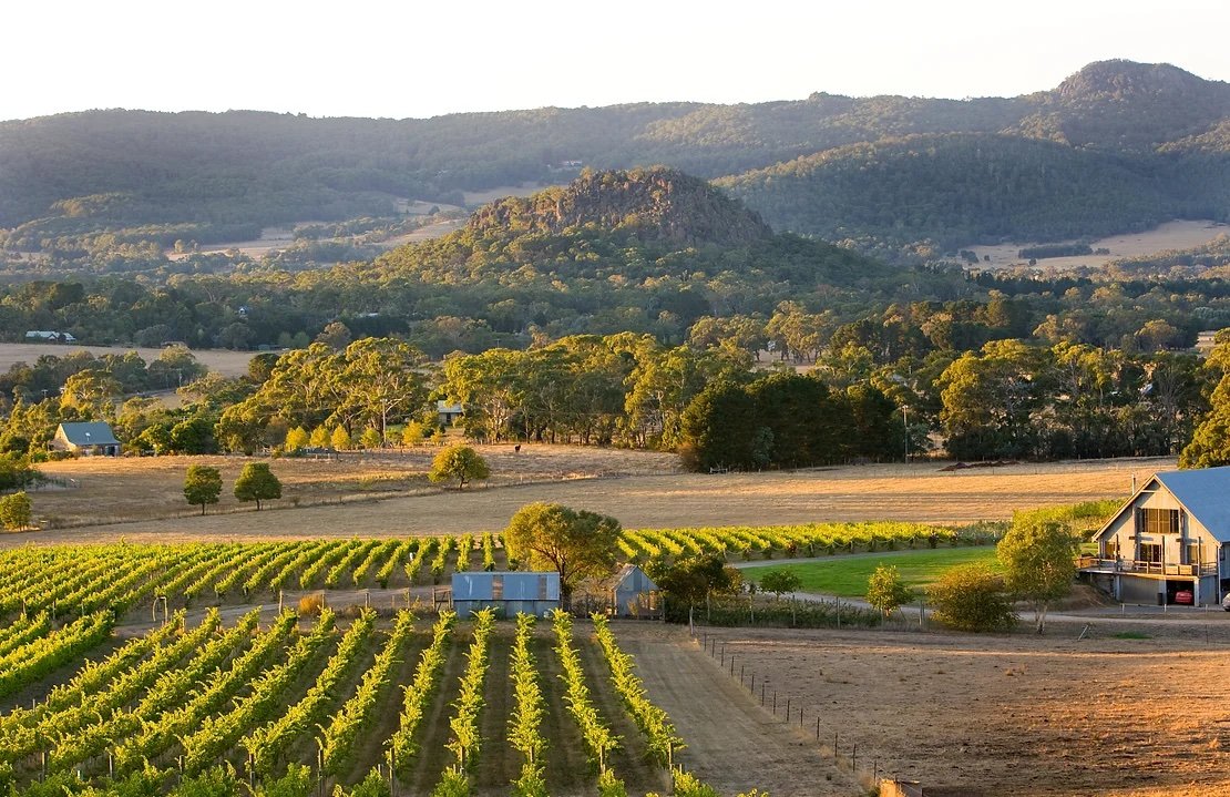 Sip, Savour, Spring: 5 Bold Reasons to Dive into a Wine Tour when visiting Daylesford