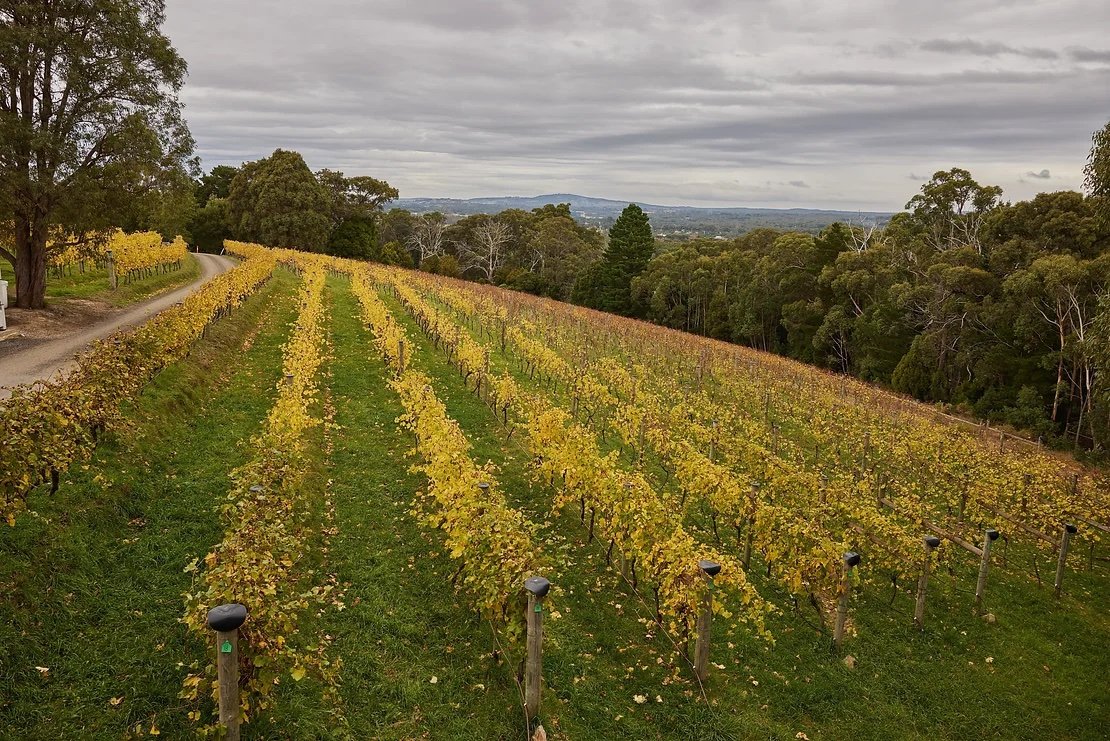 The Macedon Ranges: Australia's Best-Kept Wine Secret?