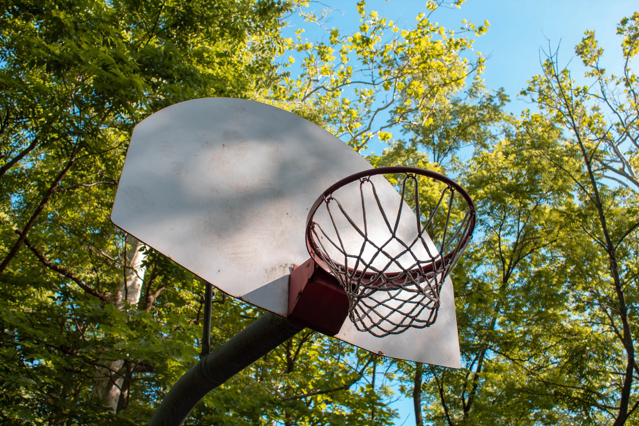 basketball (1 of 1).jpg
