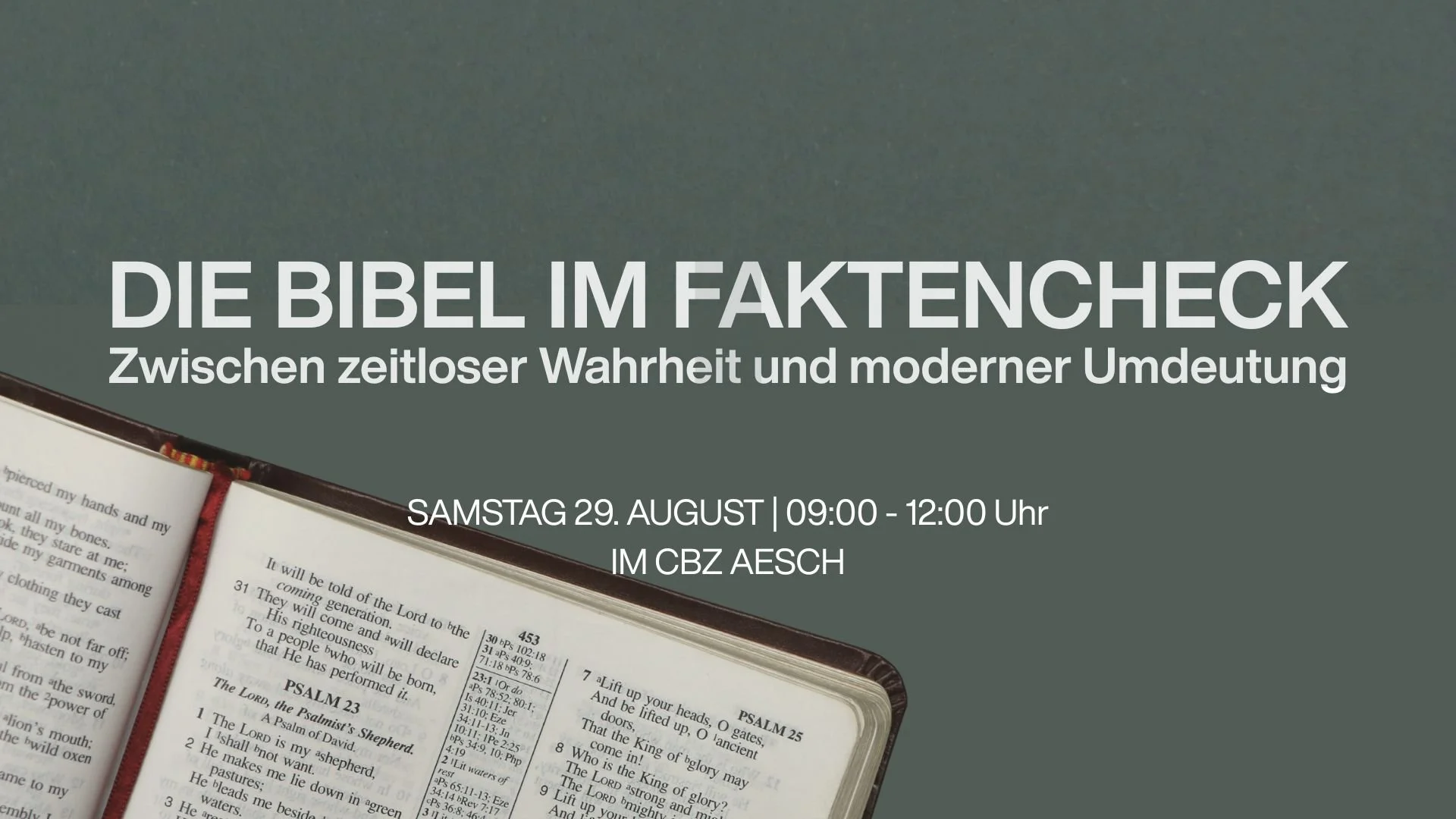 Die Bibel im Faktencheck