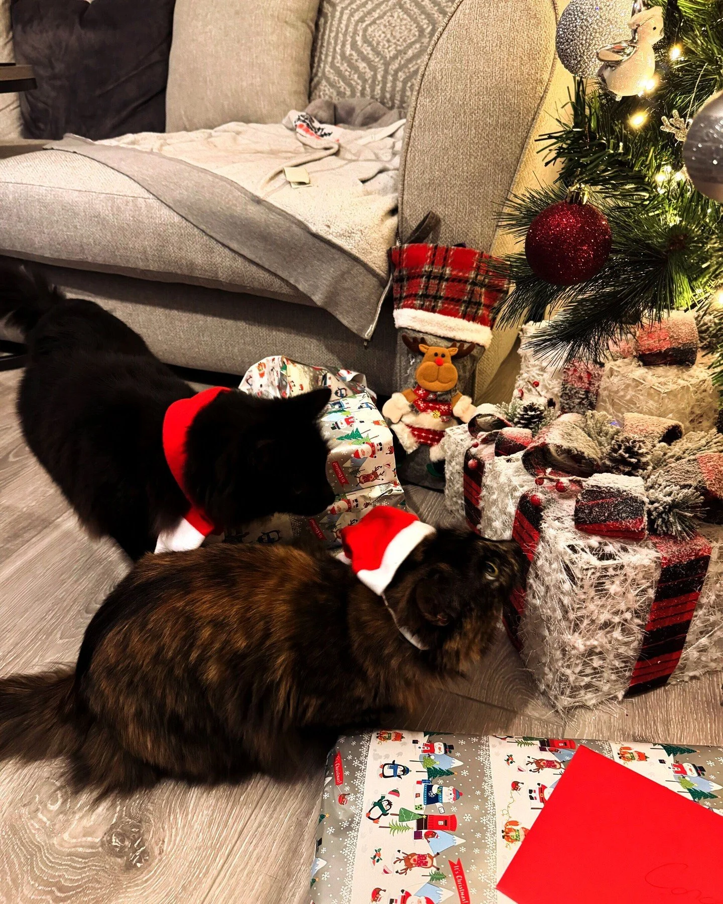 Throwback to when Bella and Ash were being adorable at Christmas. The outfits lasted less than a minute 🤣🎄