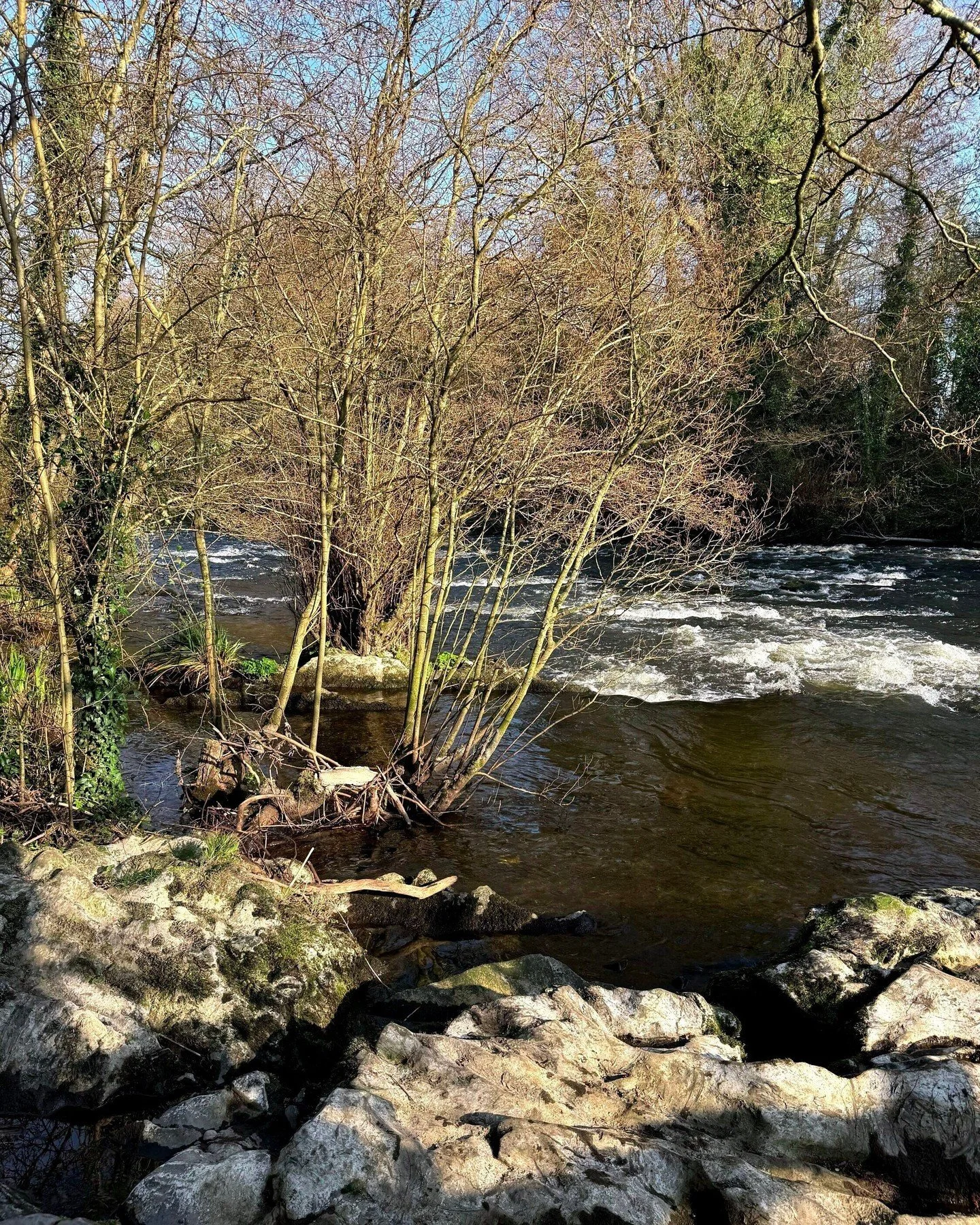 The weather on Saturday was gorgeous, probably the first warm day we've had in Ireland in 2026. So I got out to my favourite spot for a walk and a coffee 🥰 I don't think we'll get away on holidays this year since there's a lot going on, but you real