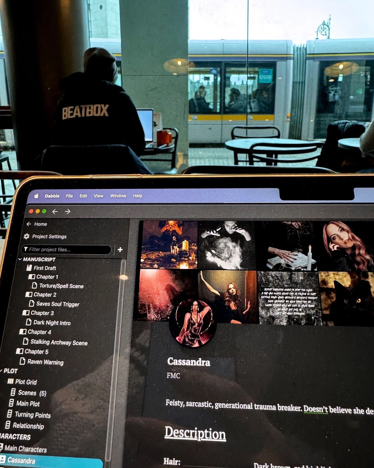 When the moodboard for the character always helps figure out what dark rabbit hole she's dragging me down next 😅

#amwriting #romanceauthor #fantasyauthor #pnrbooks #paranormalromance #fantasybooks #writingspace #authorsofig