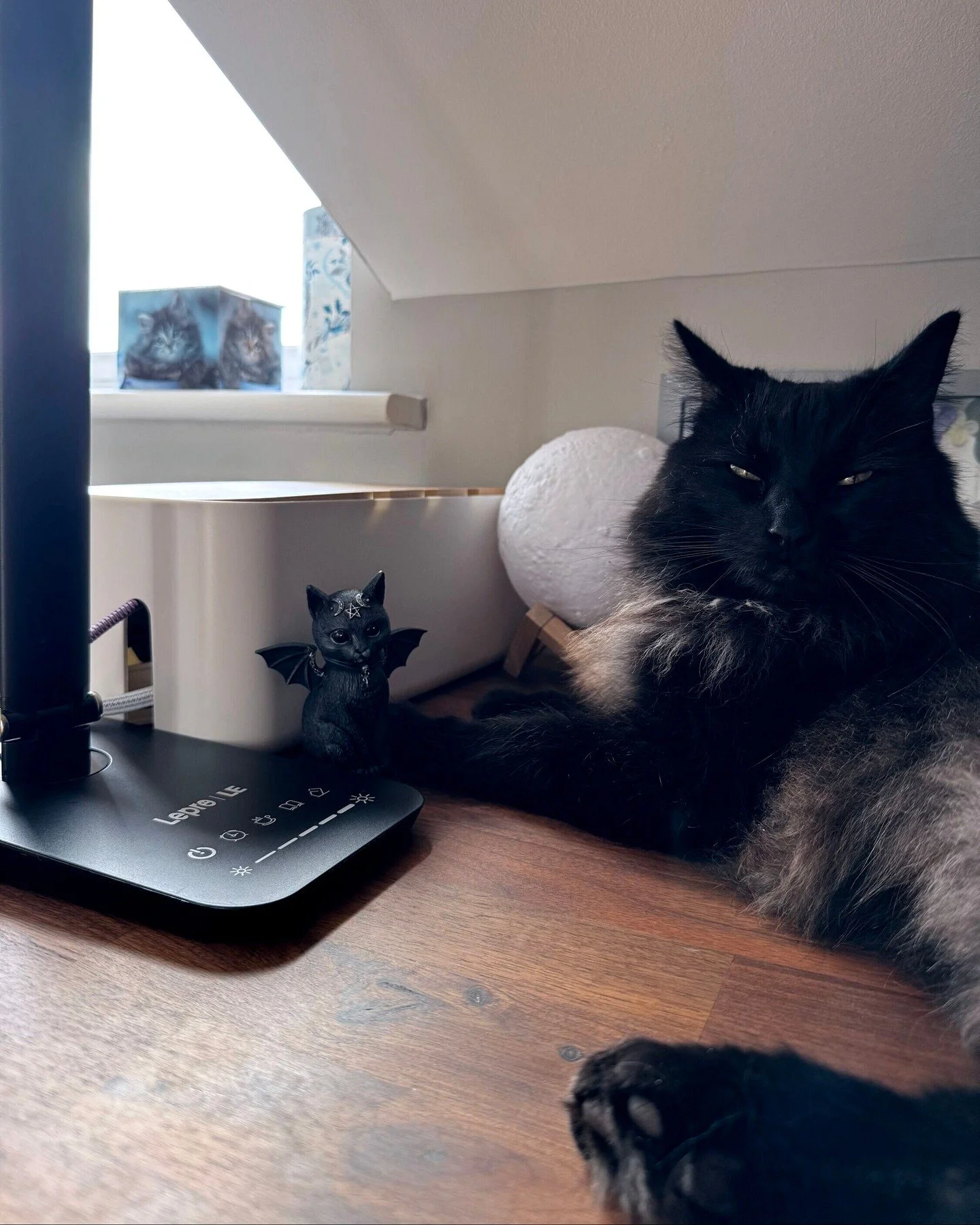 His shadow highness being incredibly unhelpful as always. If he's not sat on my keyboard, sat beside my keyboard and smacking me with his tail, he's in the corner turning the lights off 🤣🙈 

#amwriting #romanceauthor #fantasyauthor #writingspace