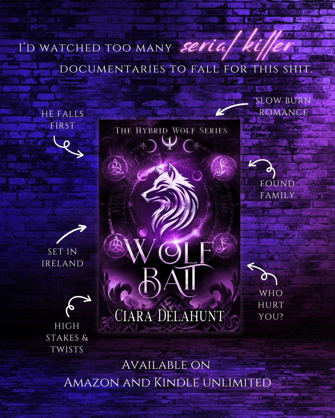 What do you do when a handsome stranger tells you you're a hybrid werewolf? Fall for him, of course ❤️&zwj;🔥

🐺 Slow burn romance
🌙 Found family
🐺 He falls first
🌙 Set in Ireland
🐺 Who hurt you?
🌙 Fated Mates

The Hybrid Wolf Series is a Dubli