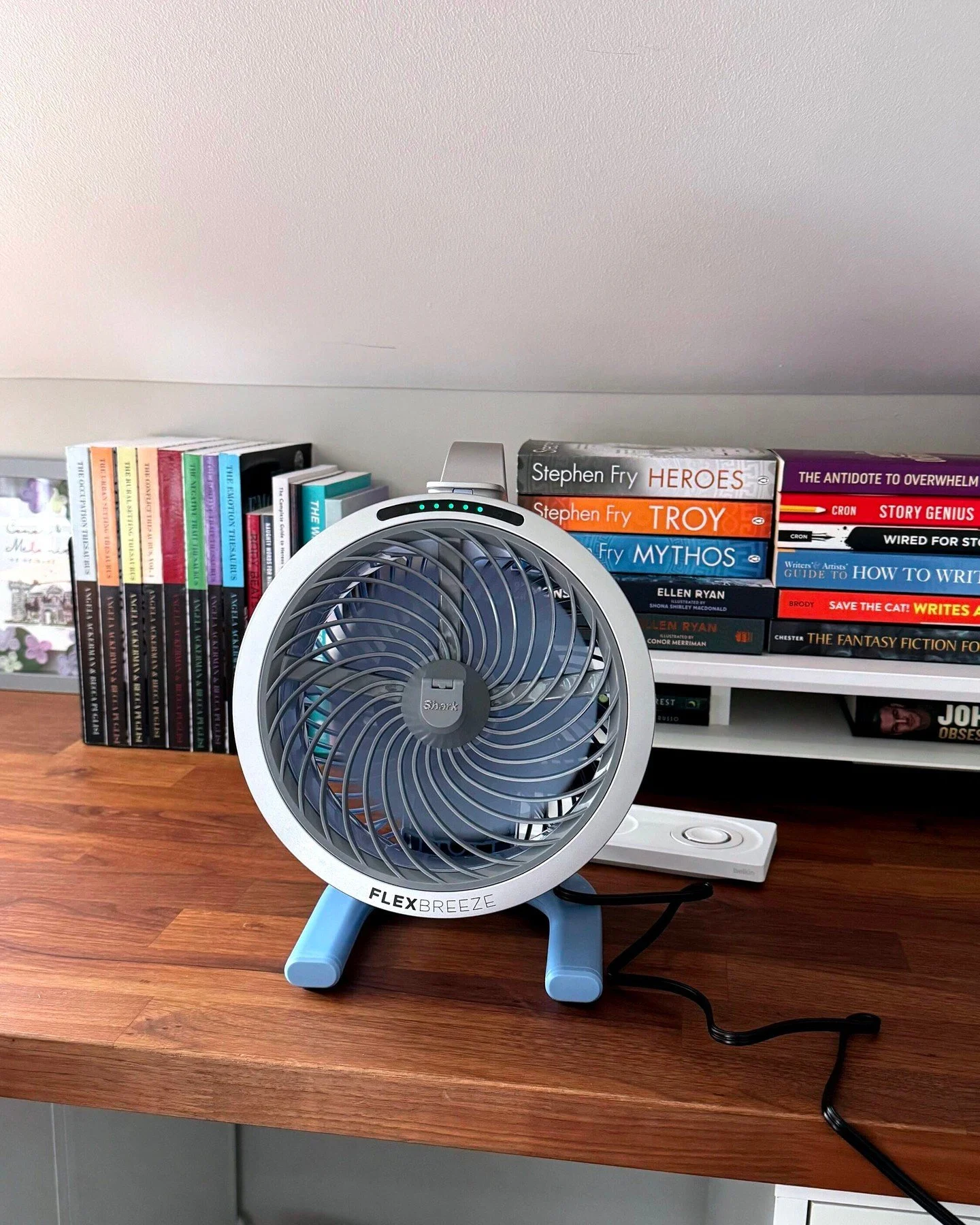 Meet my new best friend. The recent heatwave in Ireland nearly took me out and there's another one on the way, so I now have a dedicated desk fan that's also portable so it can stay with me at all times 🙈 Now it just needs a name...