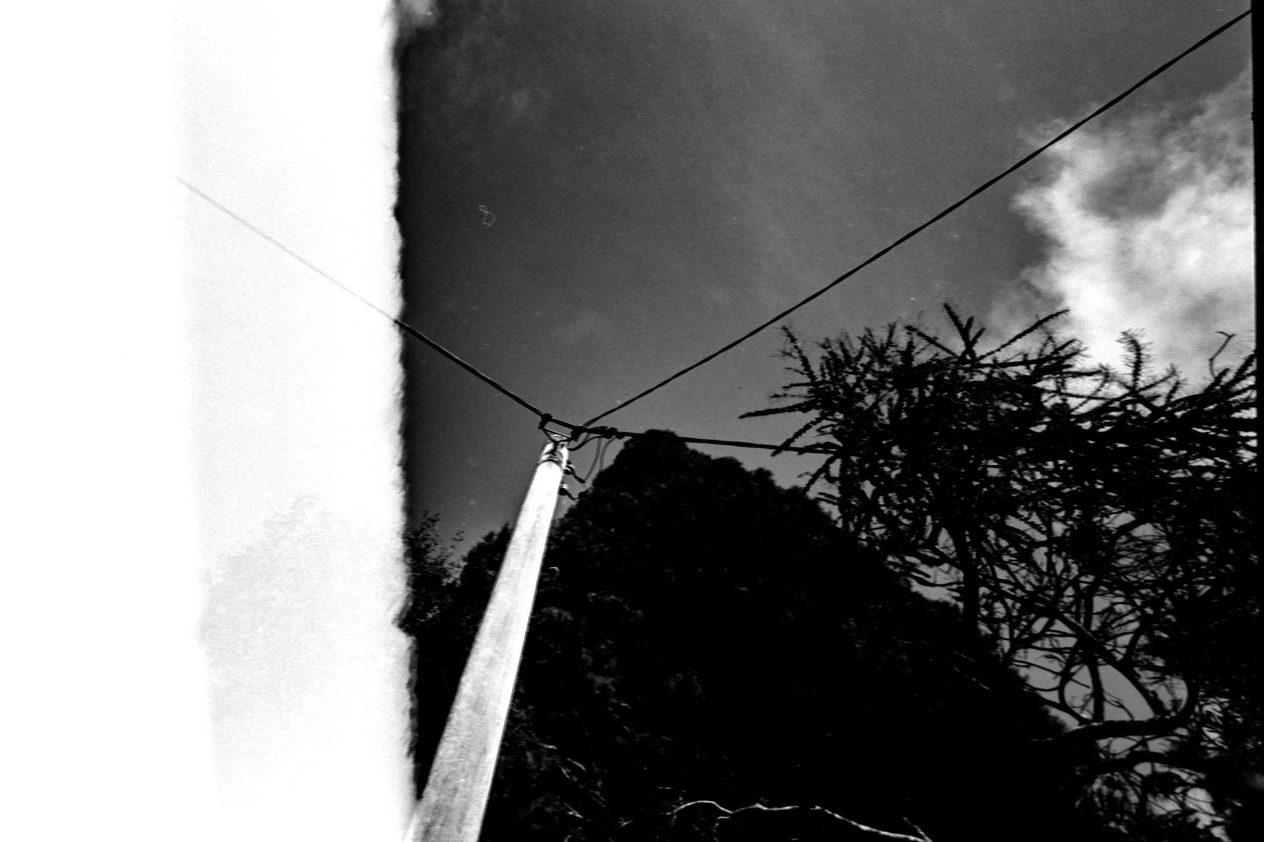 DSCF0890.jpg