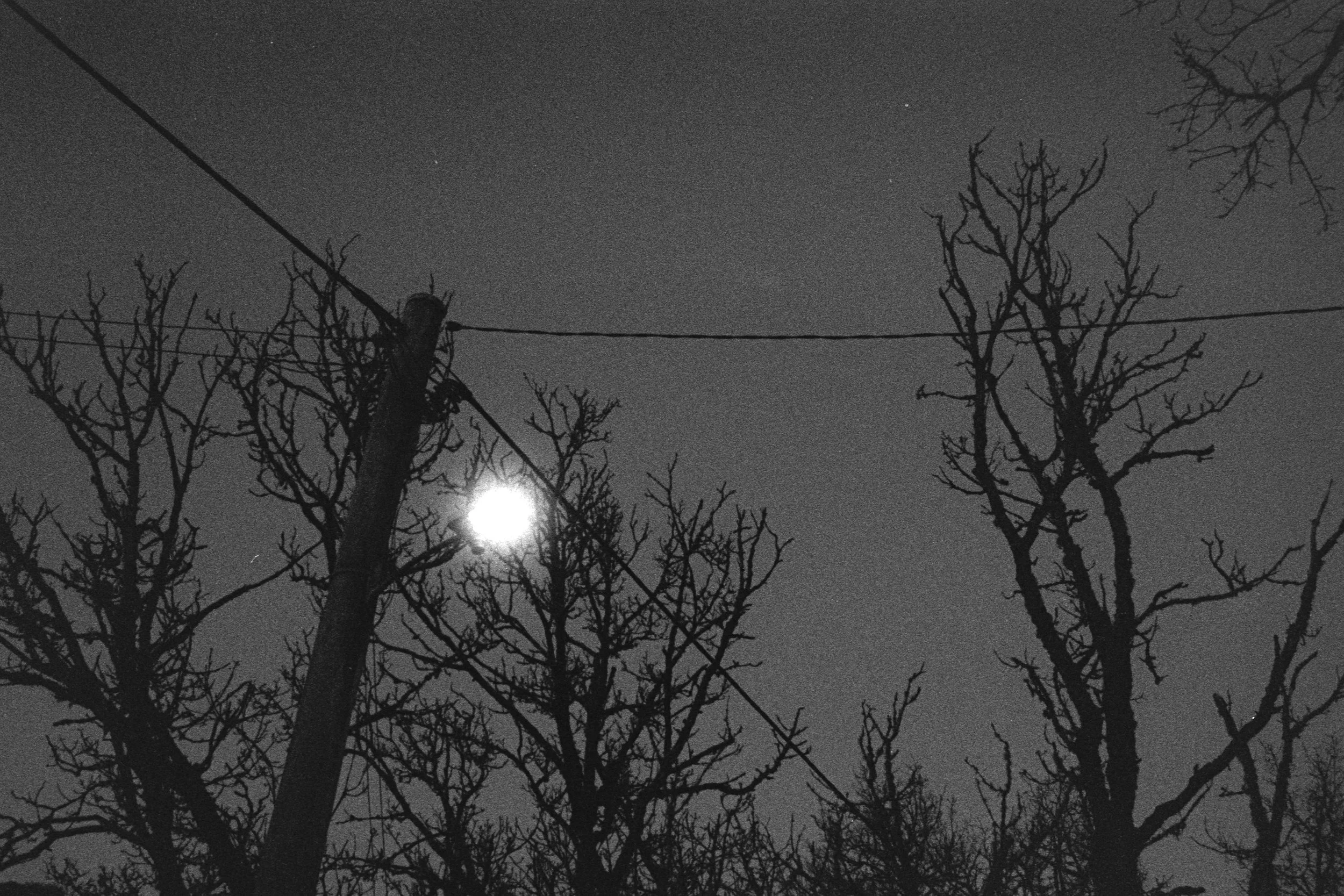 DSCF0792.jpg