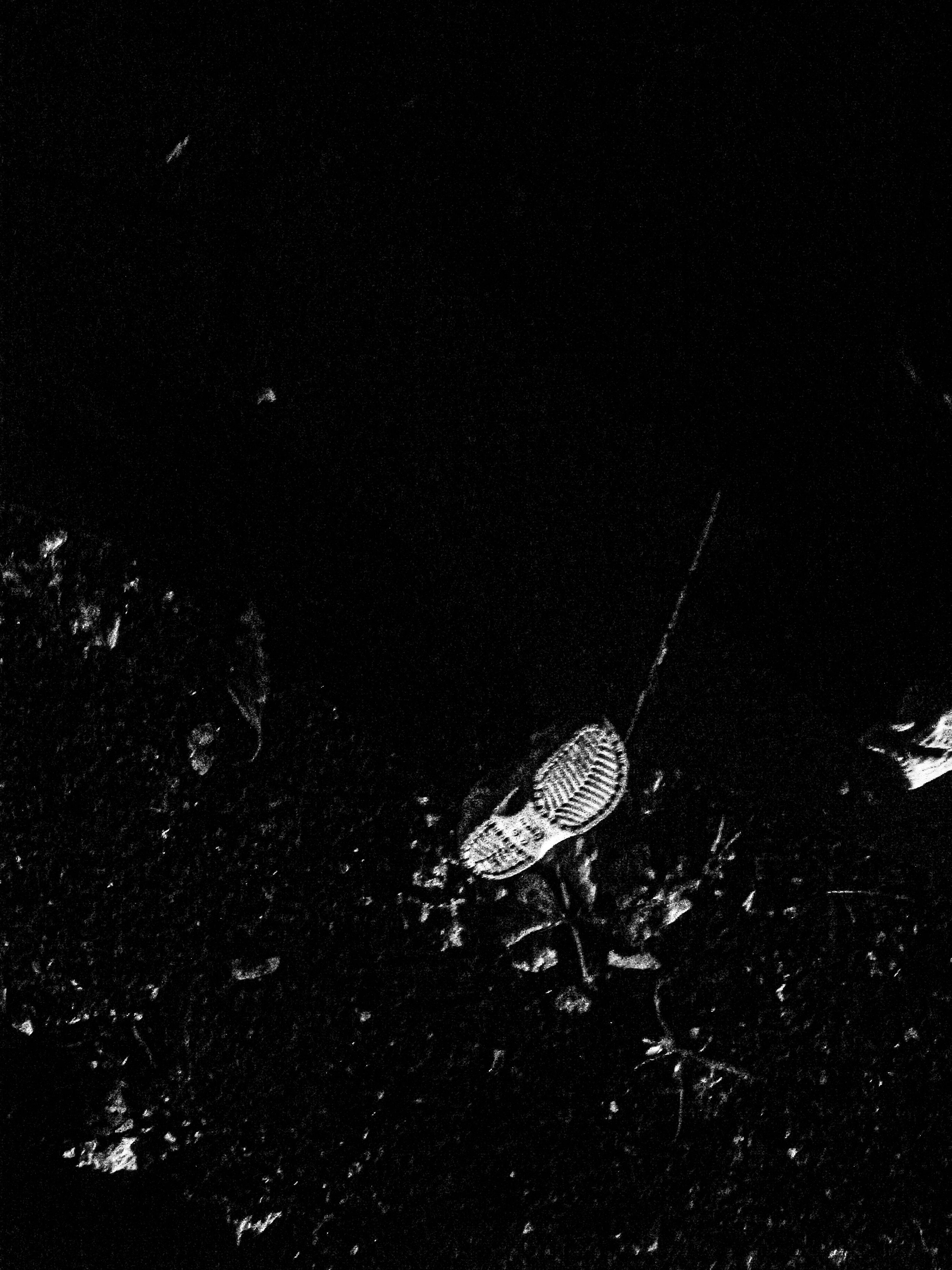R0010807.jpg
