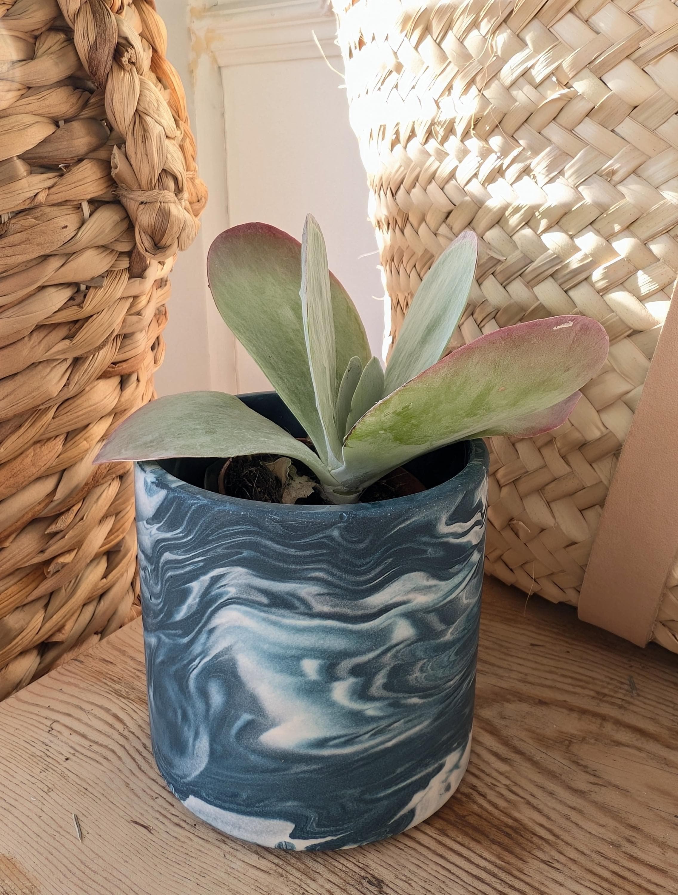https://i.etsystatic.com/8902932/r/il/6f3010/6752171457/il_fullxfull.6752171457_pyc3.jpg