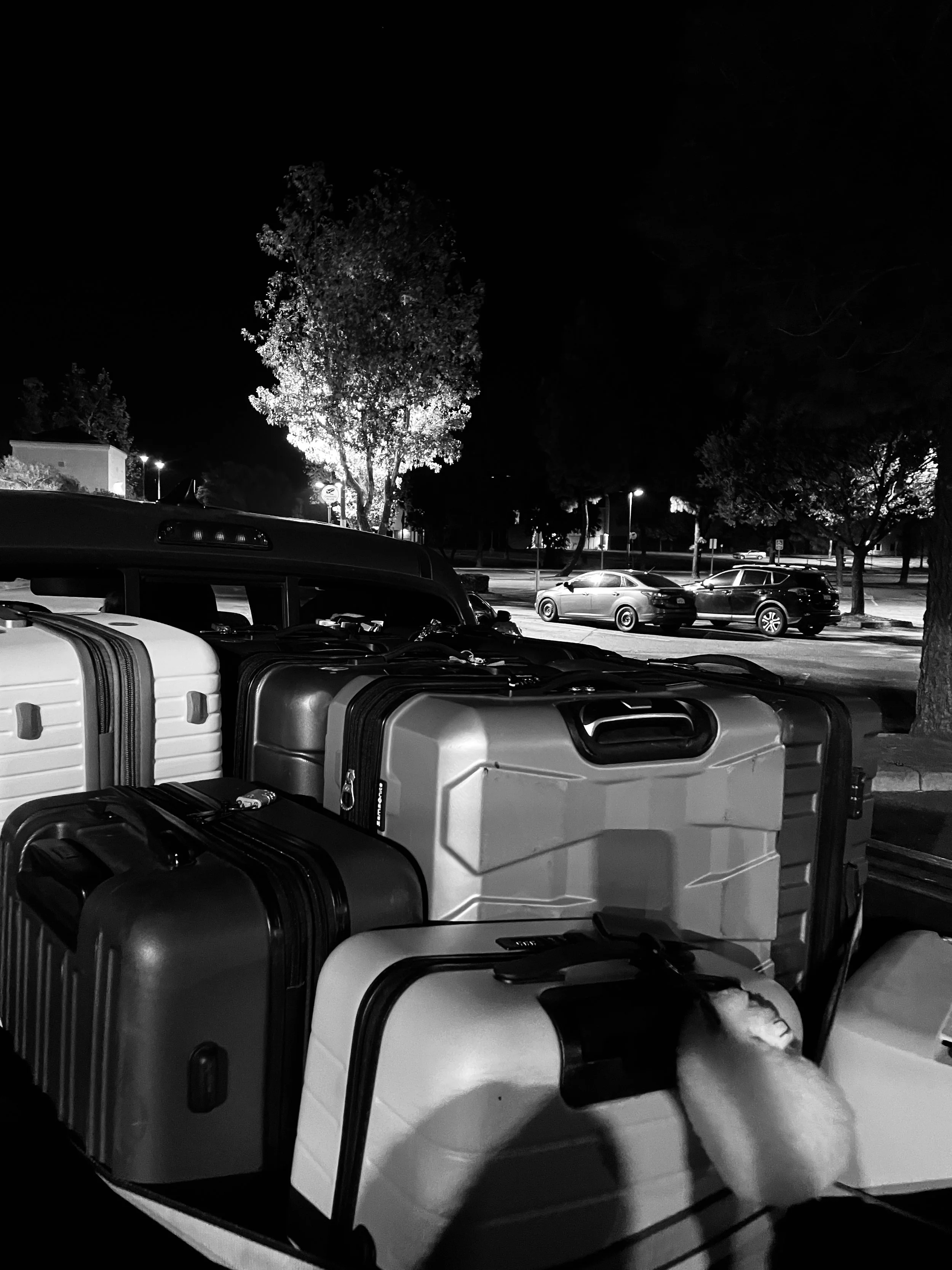 How To Pack For a Move Abroad (Without Losing The Things You Love)