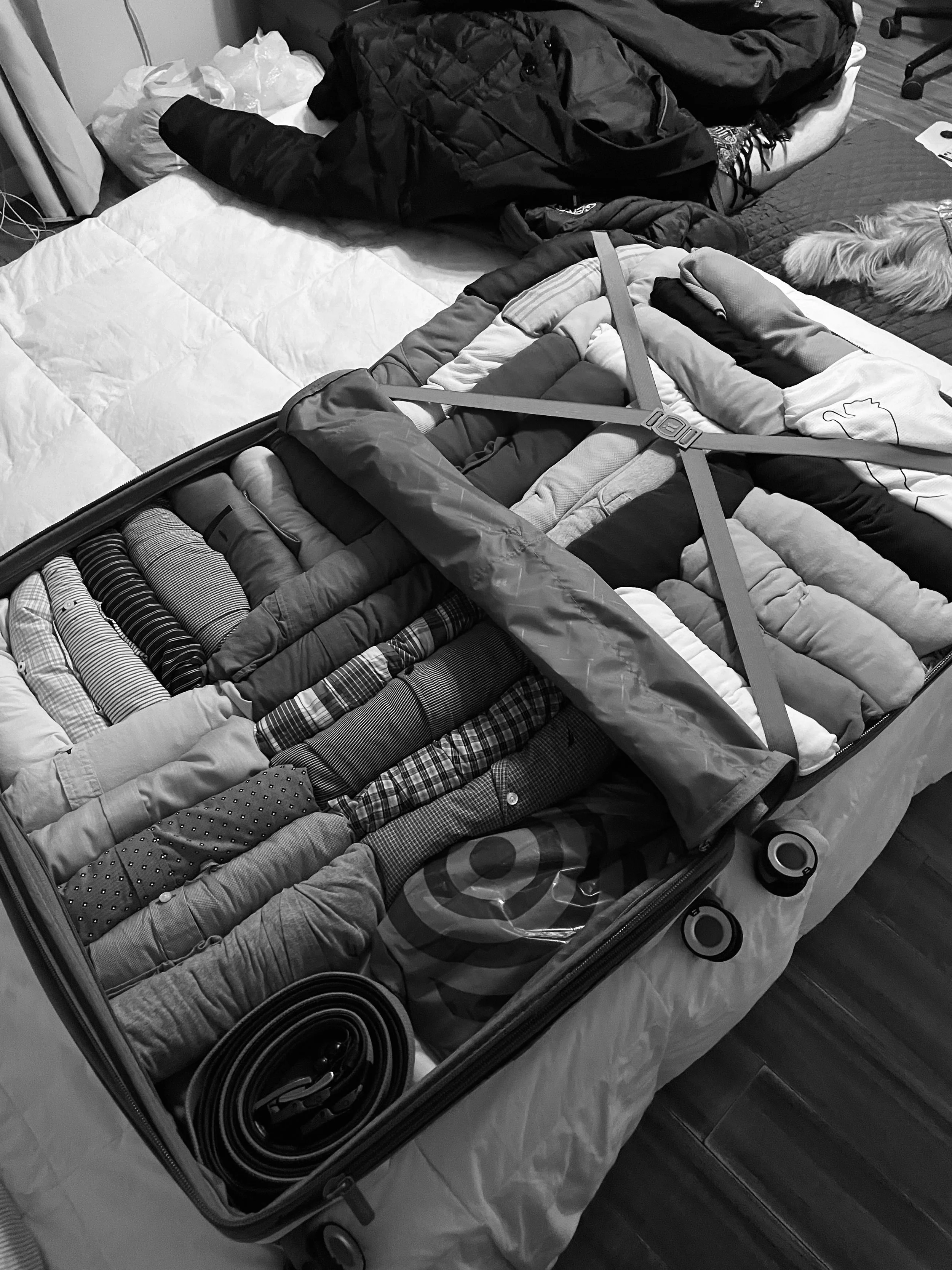 How To Pack For a Move Abroad (Without Losing The Things You Love) | Joona is your go-to app to digitize and store all your health information