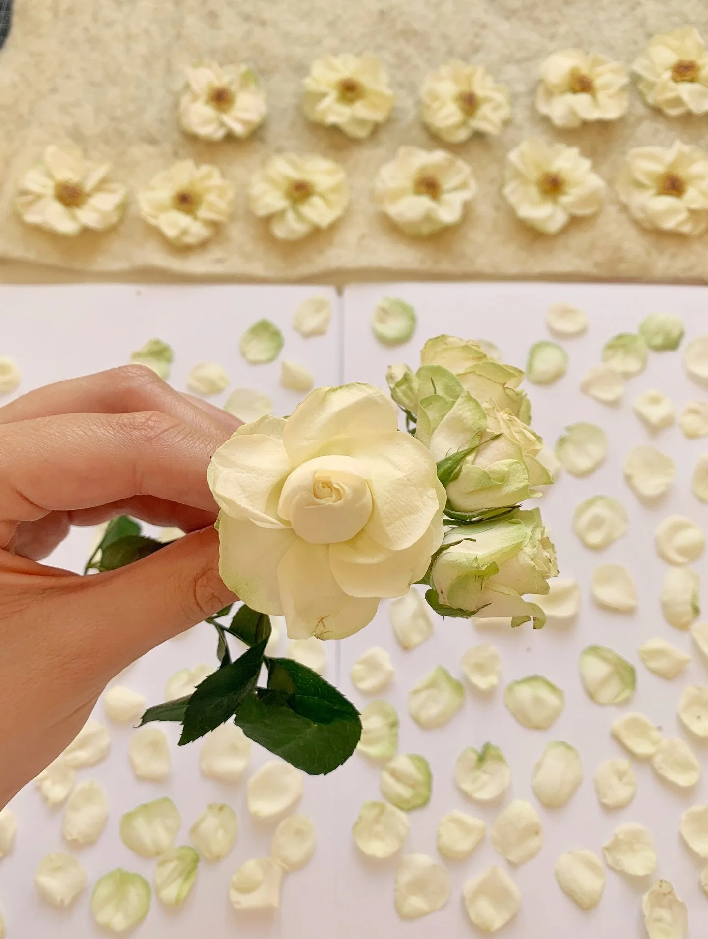 At Fiorevero, nothing is rushed.

Behind each petal there are hours of work. Pressed slowly, checked carefully, adjusted by hand. 🌿

What may look effortless in the finished artwork is in truth the result of countless gestures of care. Because when 