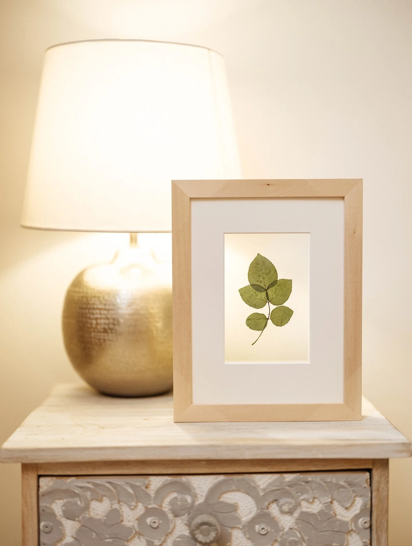 To us, framing nature also means to re-learn a bit how to look. 

To notice what usually fades in the background, to let our gaze rest on the tiny details that make every leaf, every petal, unlike any other. 🌾

It&rsquo;s our way to celebrate imperf