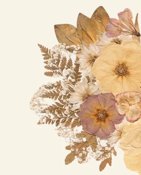Beauty that evolves with time. ✨

At Fiorevero, we choose to preserve flowers as they are &mdash; real, organic, and still gently subject to time.
We don&rsquo;t use chemical treatments, which means colors will naturally soften over the years, taking
