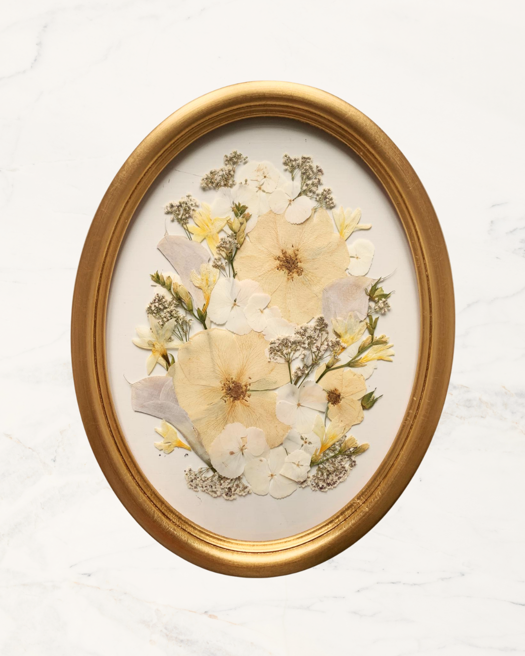 Progetto senza titolo(3).png