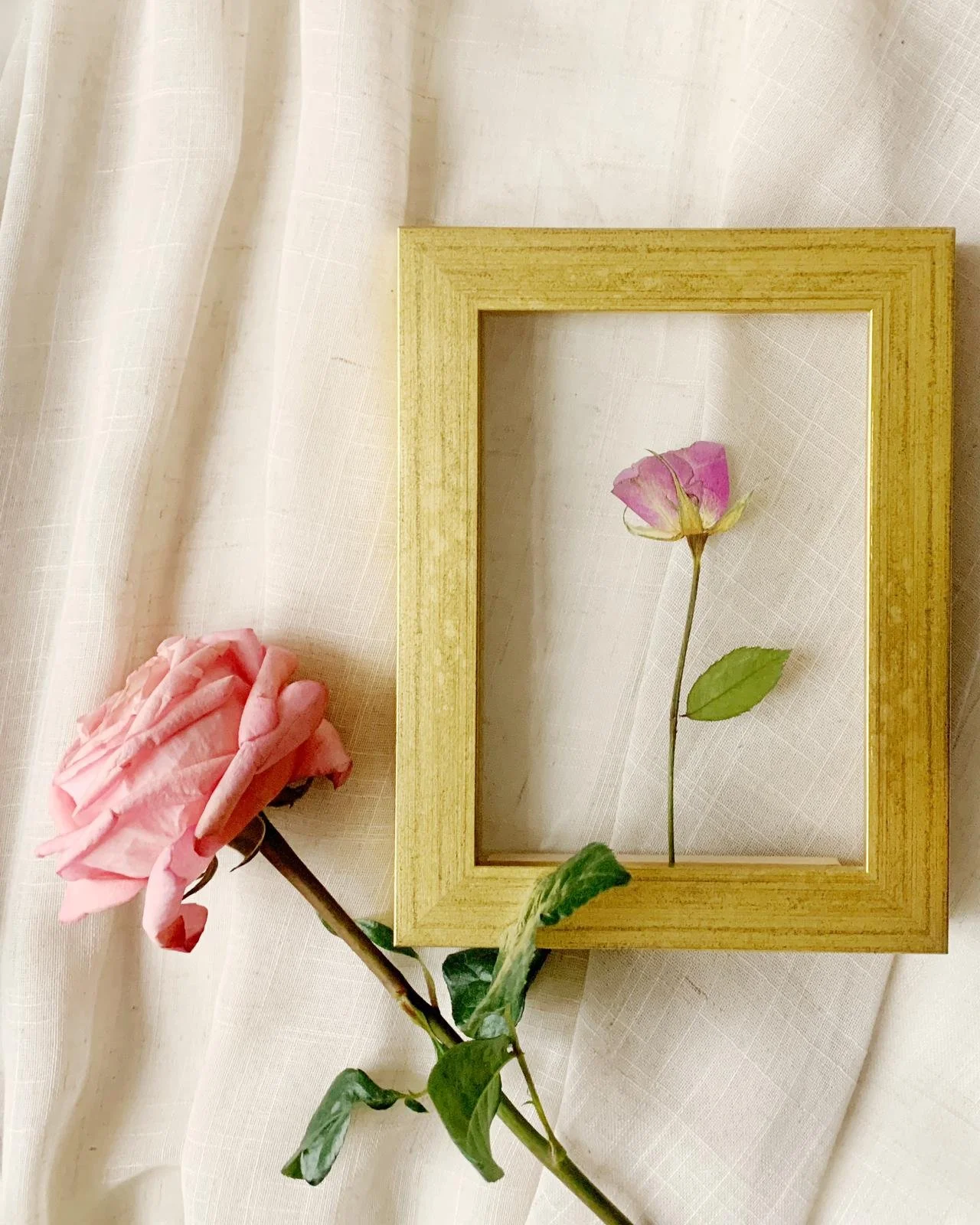 WhatsApp Image 2026-02-05 at 16.35.09.jpeg