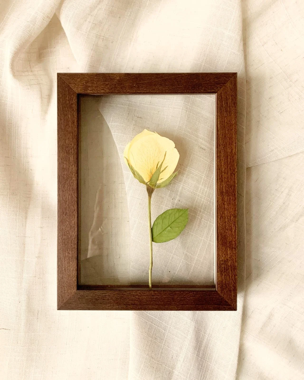 WhatsApp Image 2026-02-05 at 16.35.08 (2).jpeg