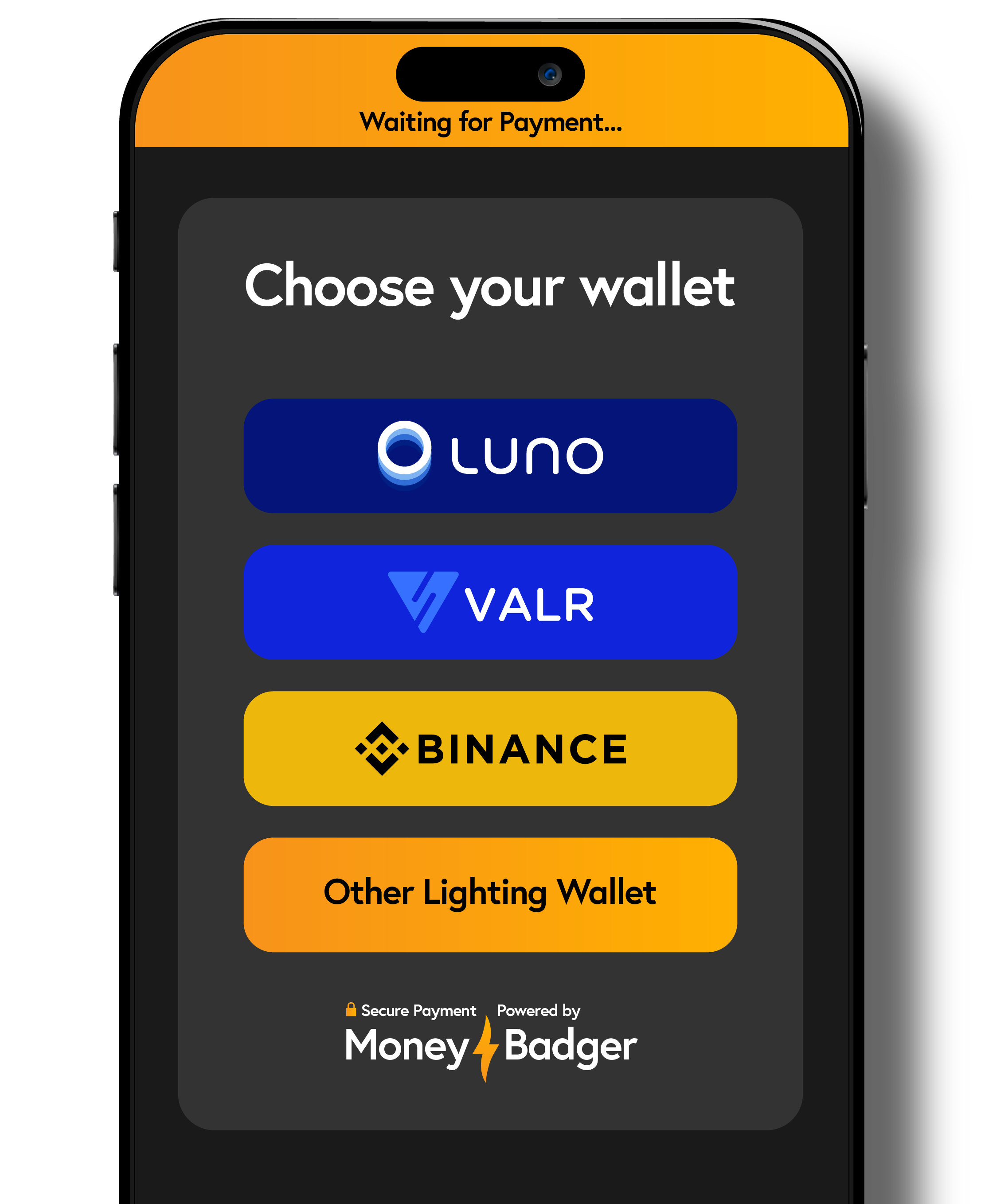 Pay with Bitcoin online — choose your wallet at checkout