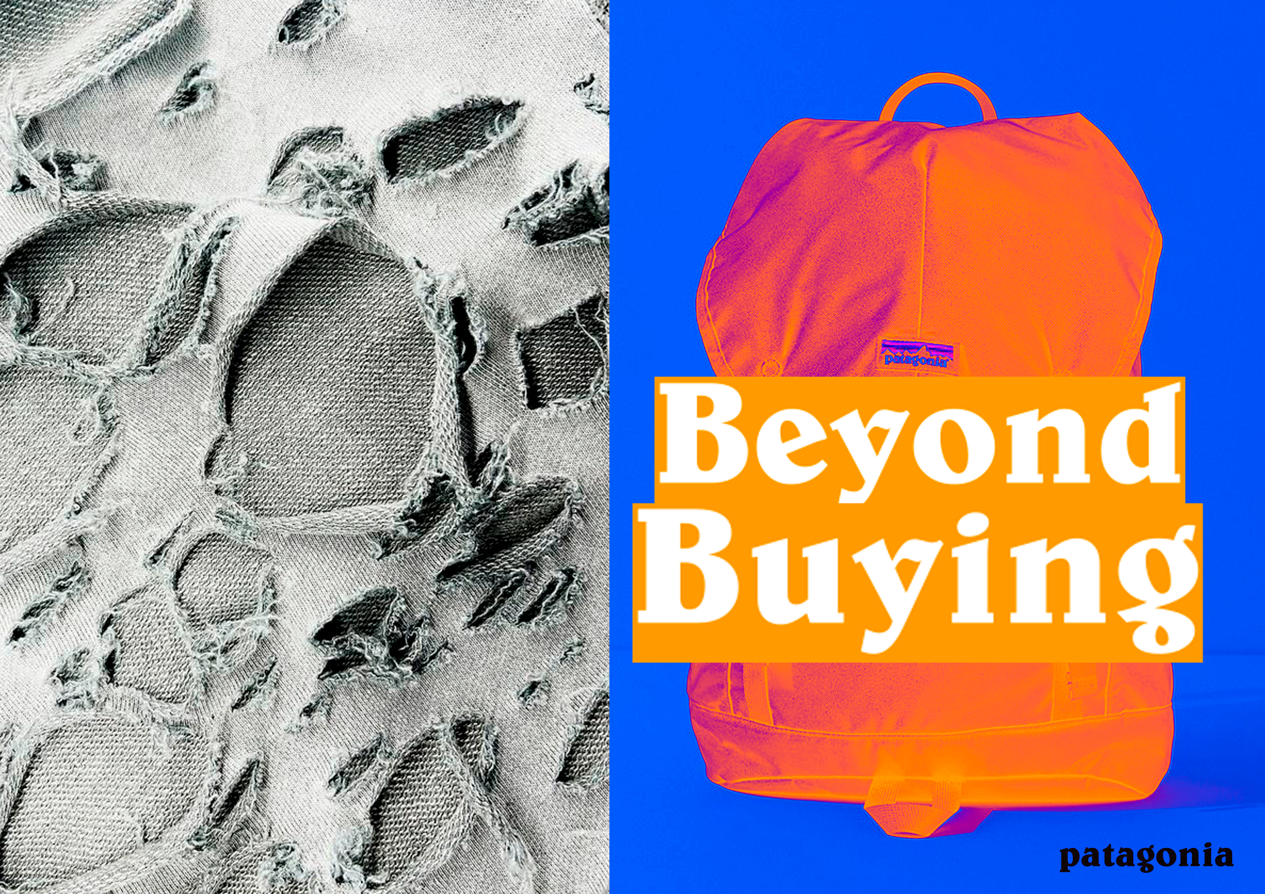Patagonia Beyond Buying